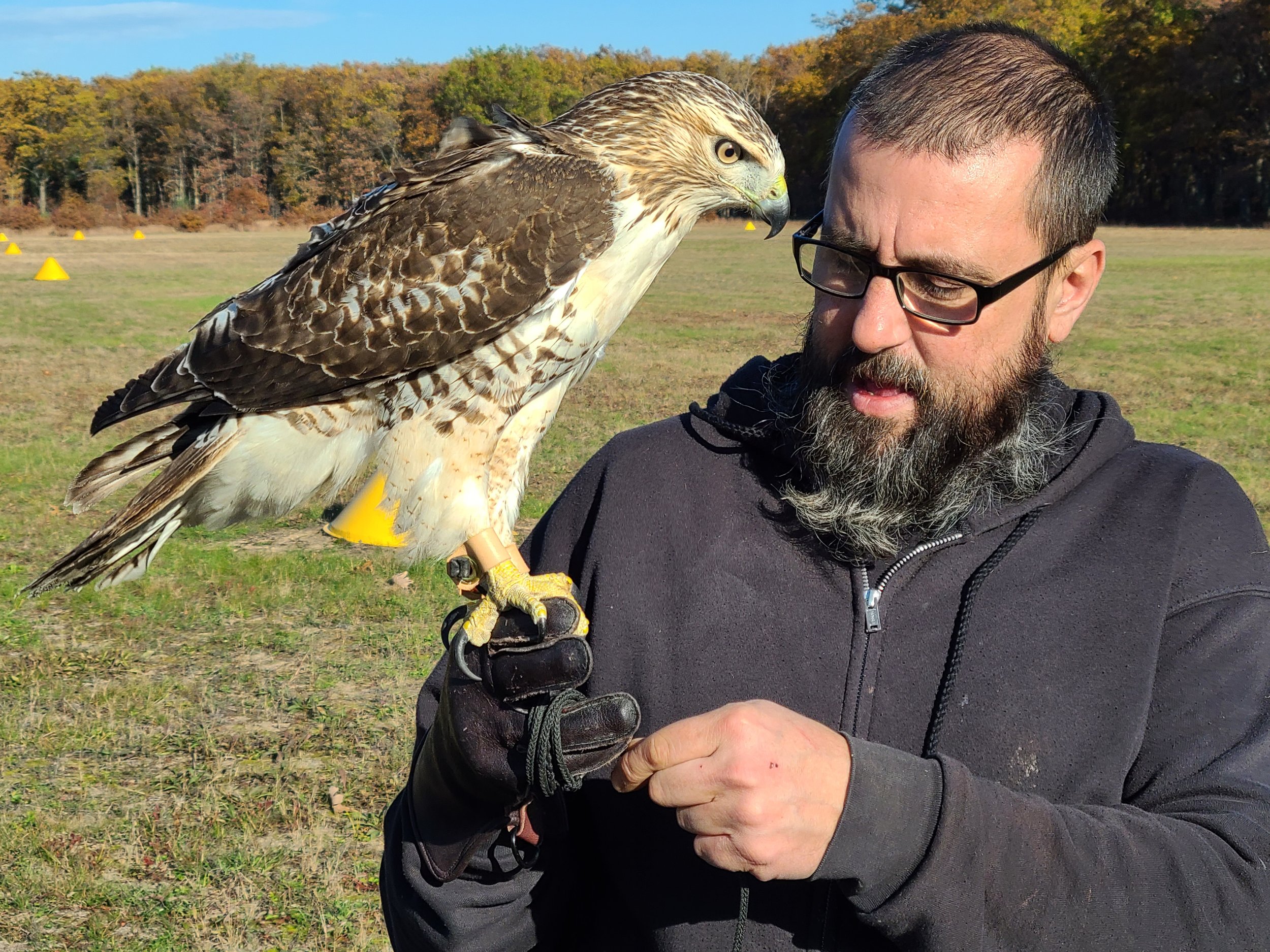 An Evening with Live Raptors