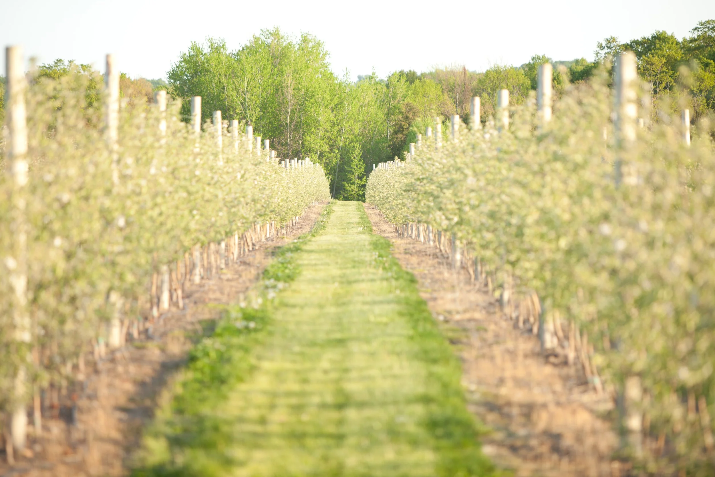 GLIF - Enrollment Fees — Grand Traverse Conservation District