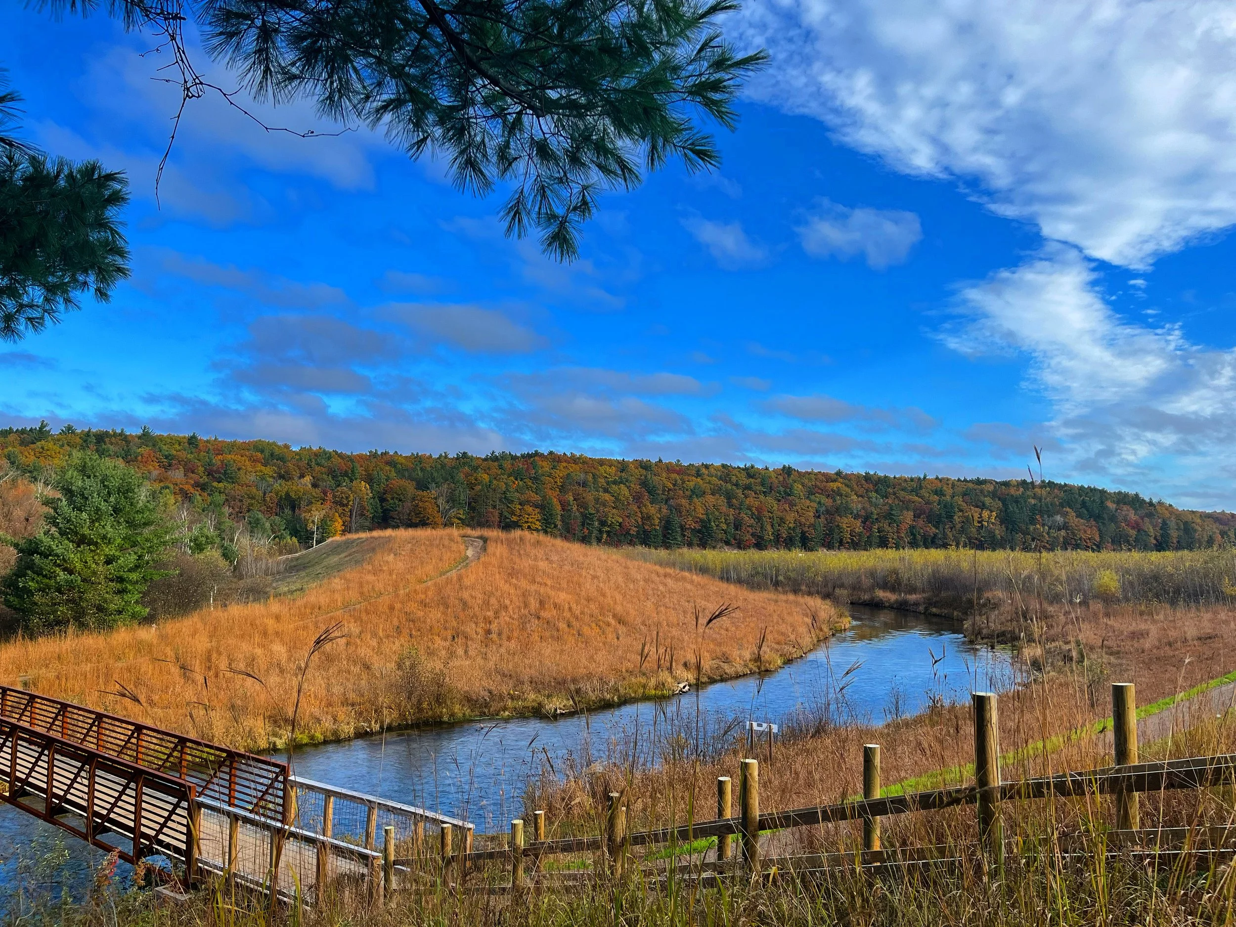 Volunteer Tree Planting at Brown Bridge Quiet Area (Day 1)