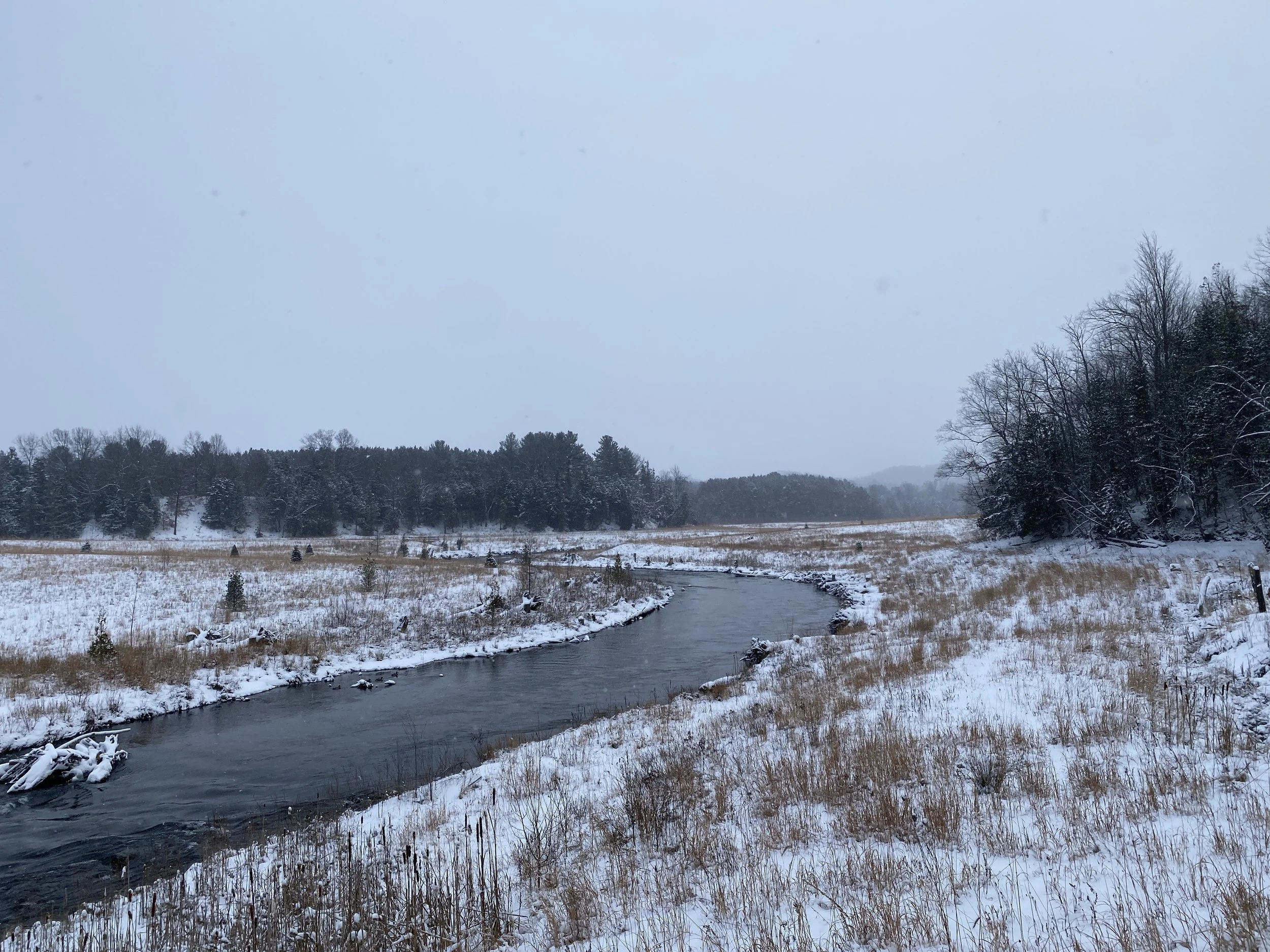 Winter Guided Hike on the Natural Education Reserve 