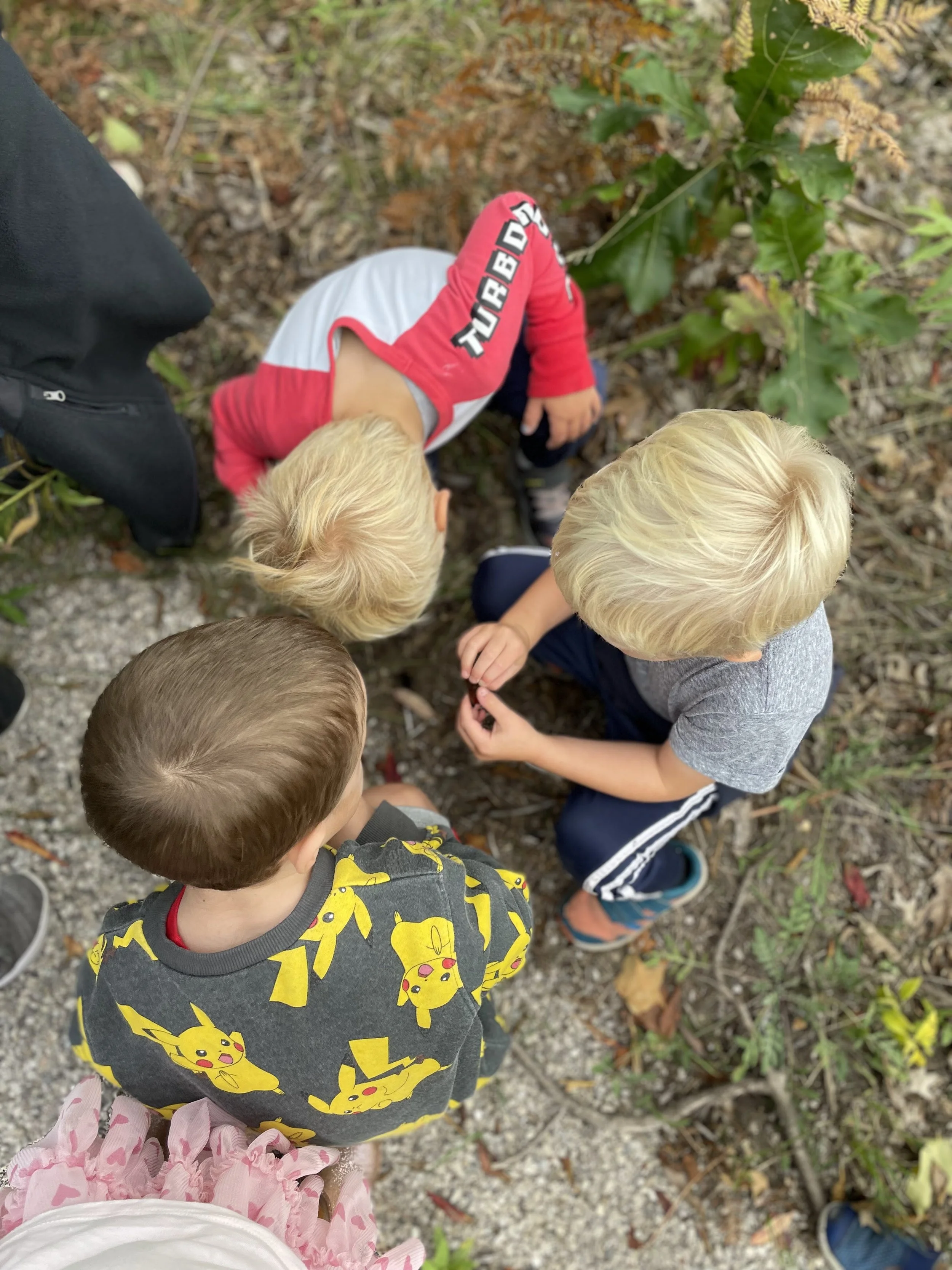 Fall 2023 Knee High Naturalists | Week 2