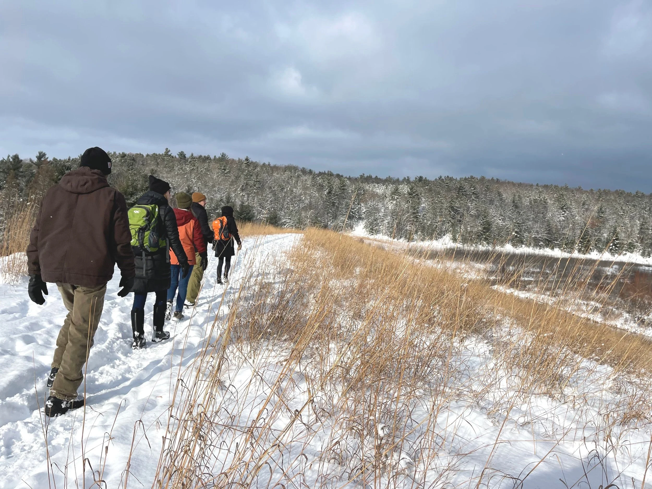 Winter Guided Hike at Brown Bridge Quiet Area