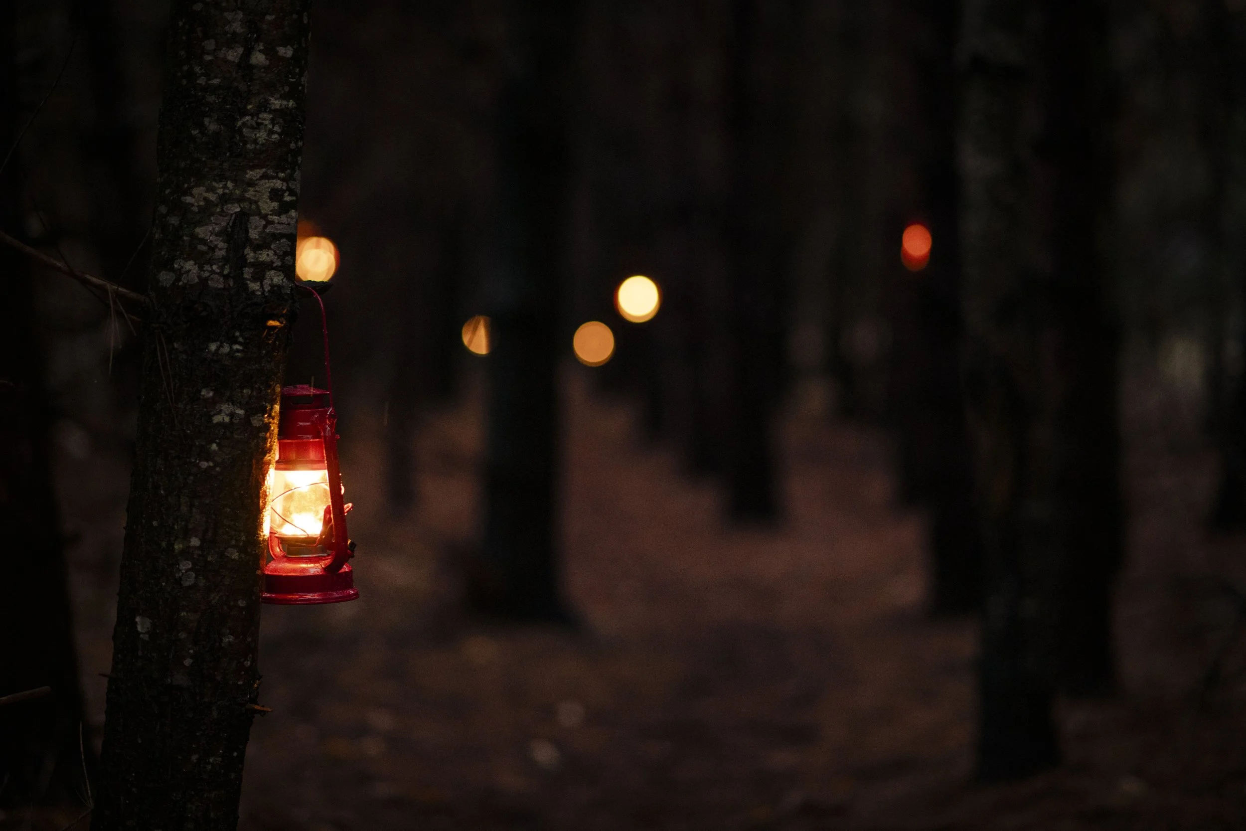 Wolf Moon Lantern Lit Hike