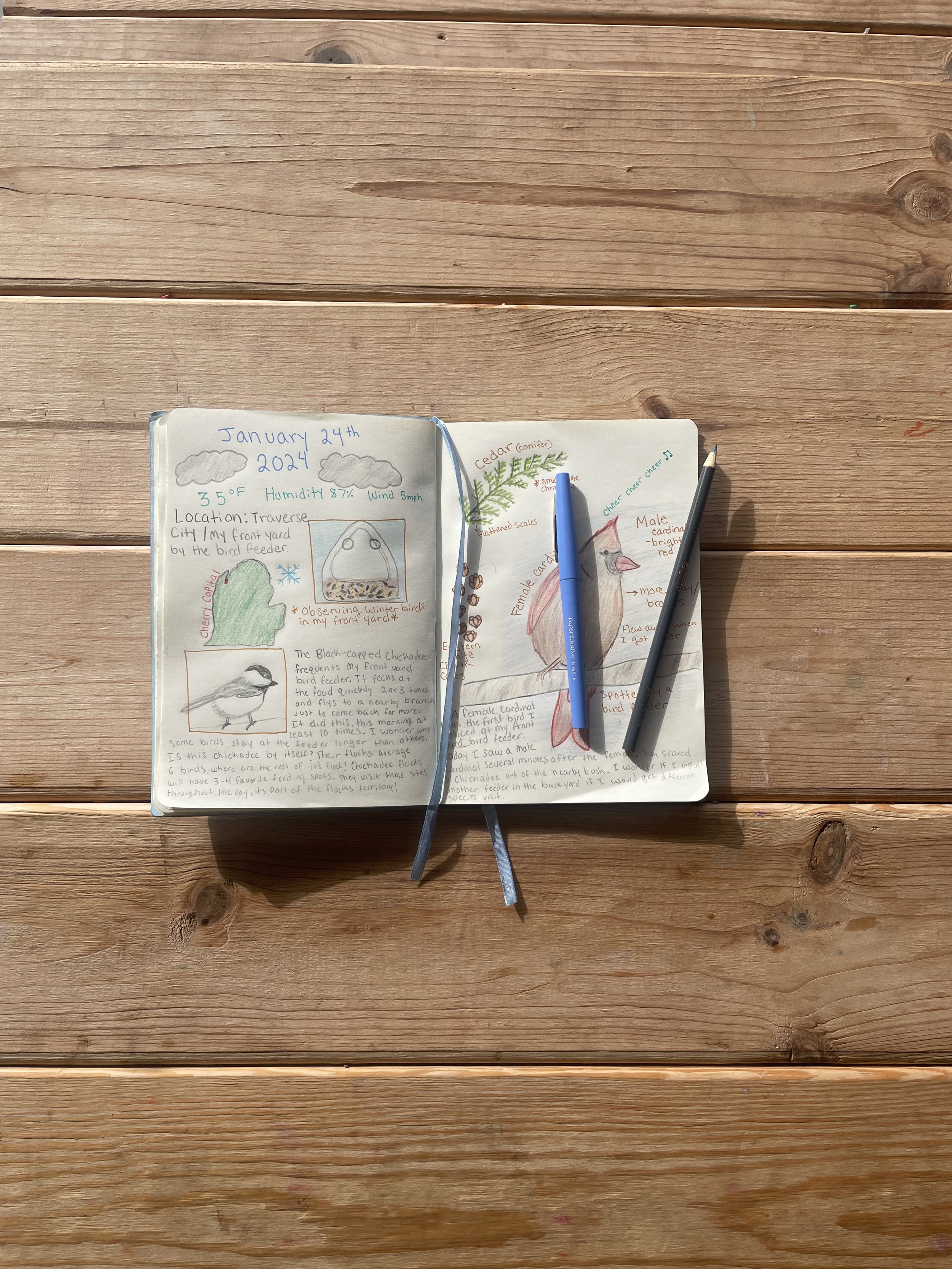 Nature Journaling Series: How to Start A Nature Journal