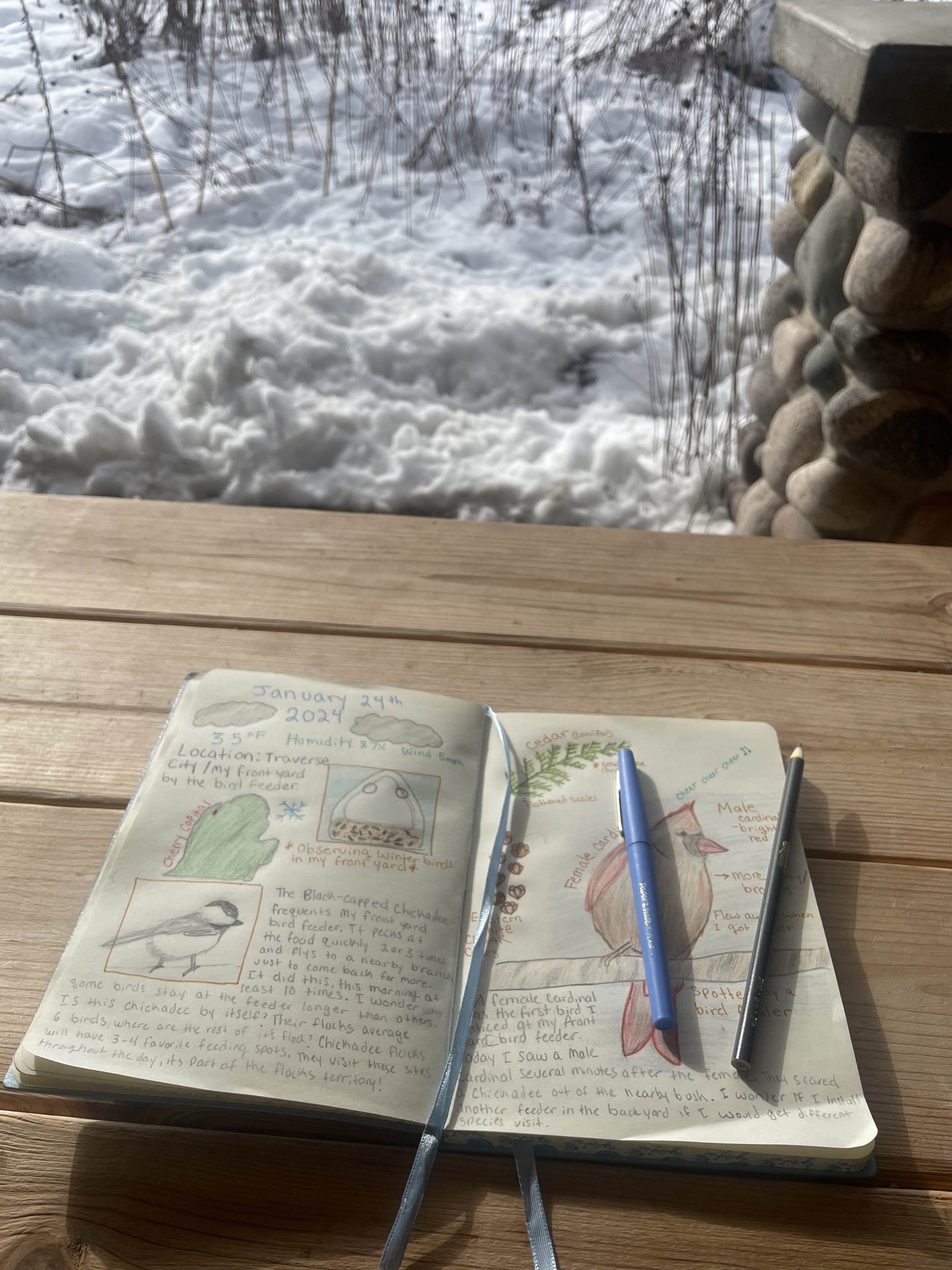 Nature Journaling Series: Sketching Nature