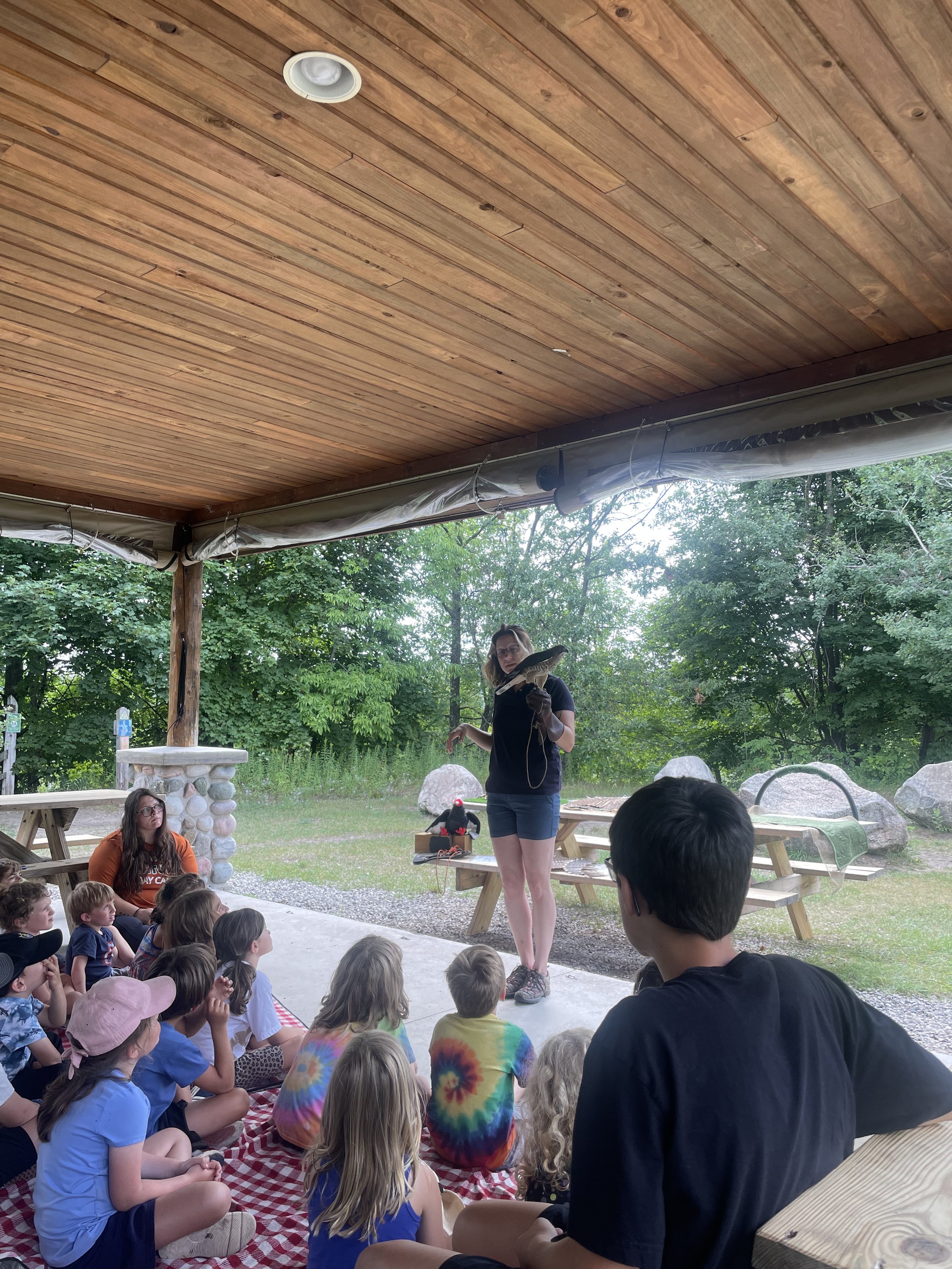 Raptors in the Spring Sky