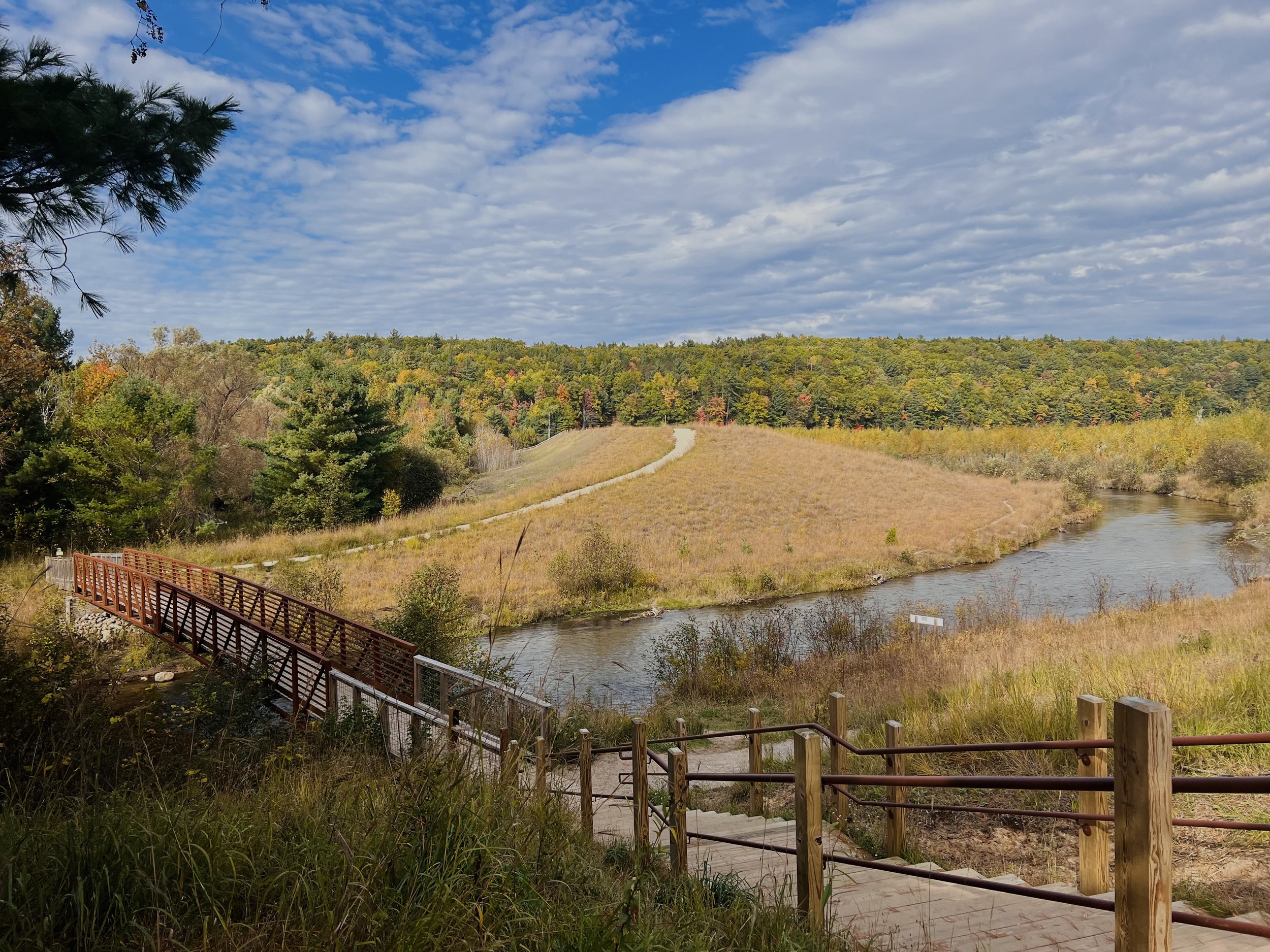 Tree Planting Workbee at Brown Bridge Quiet Area