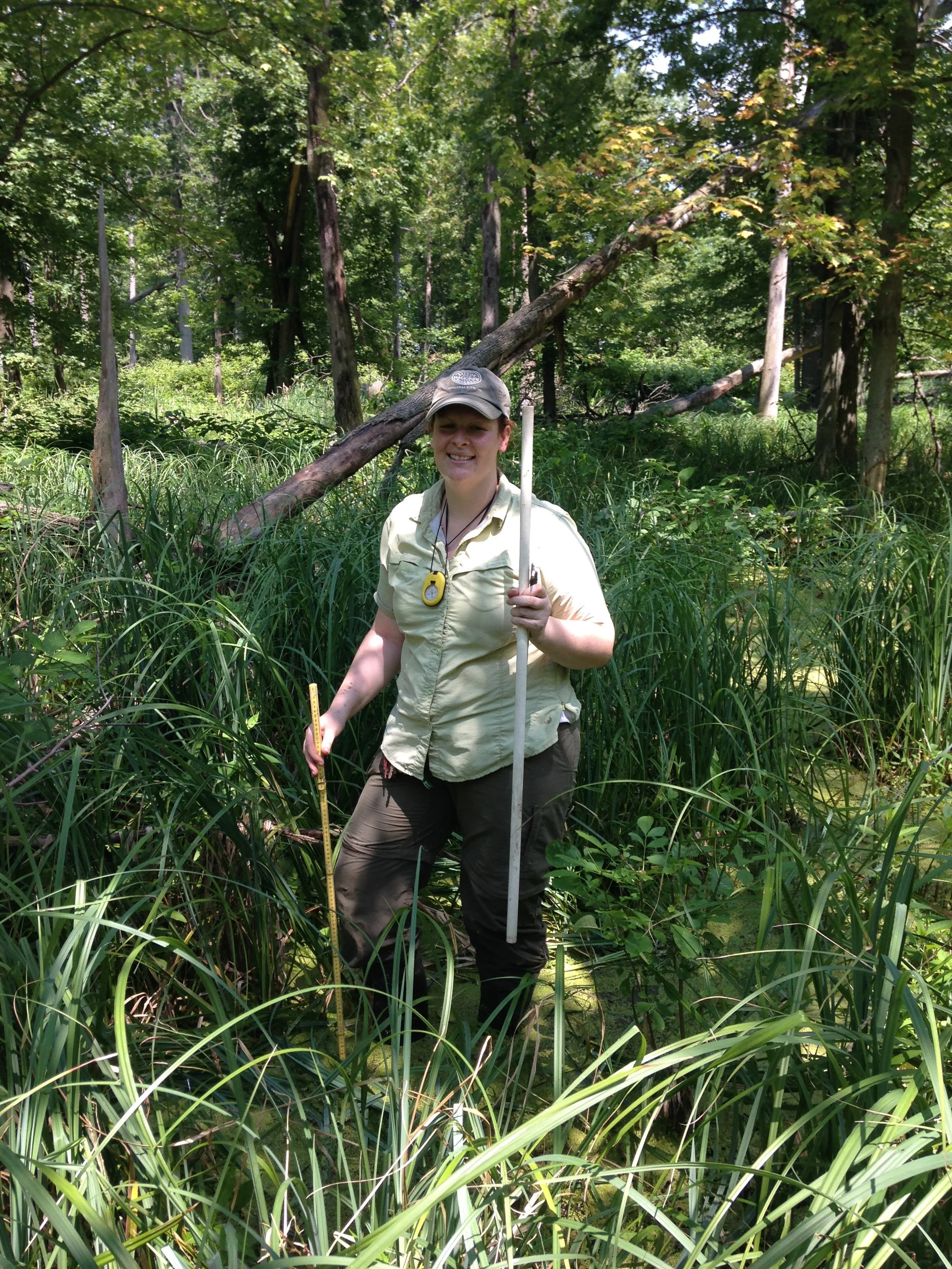 Winter Webinar Series: Ash Tree Breeding and Resistance to Emerald Ash Borer