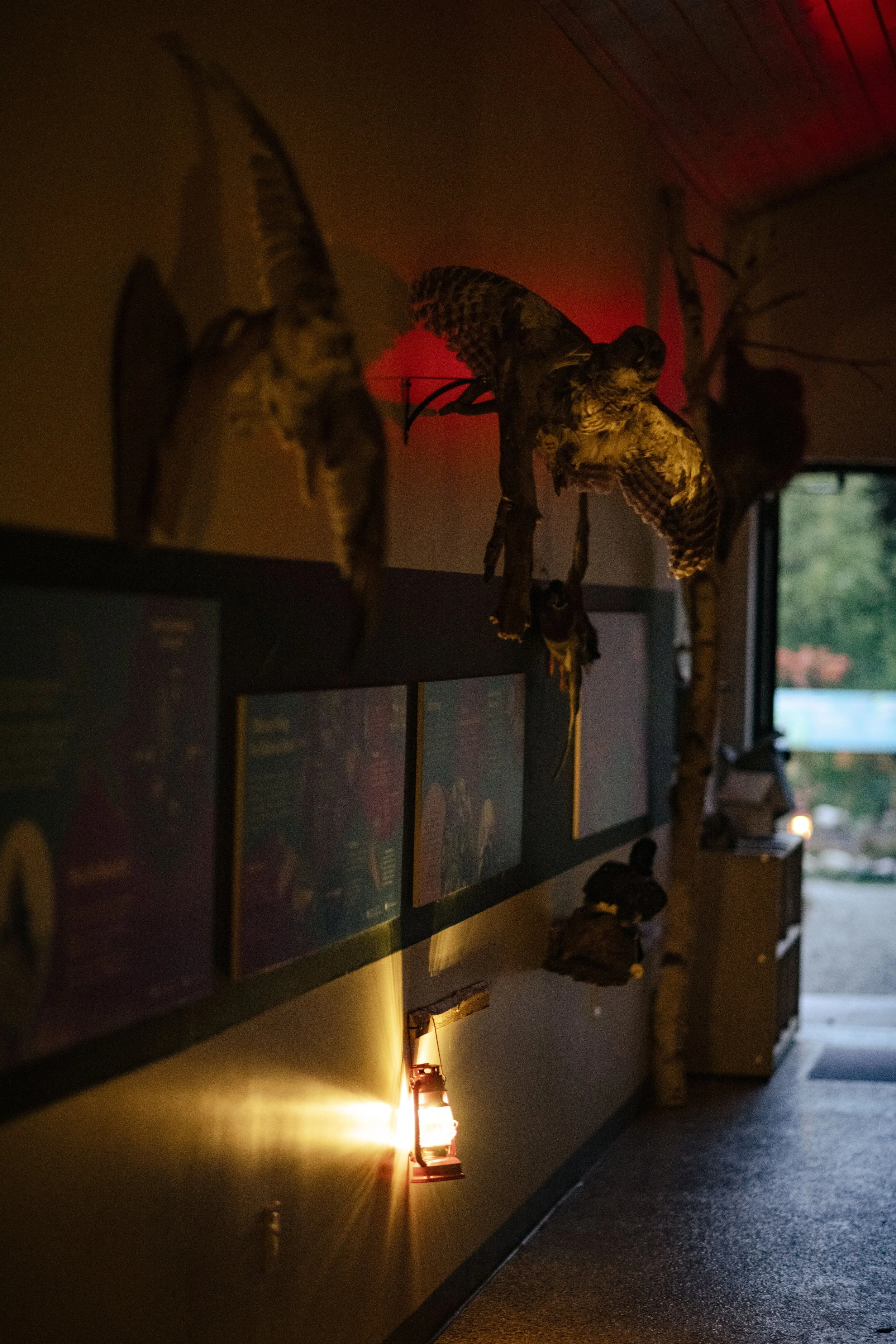 Night at the Nature Center 