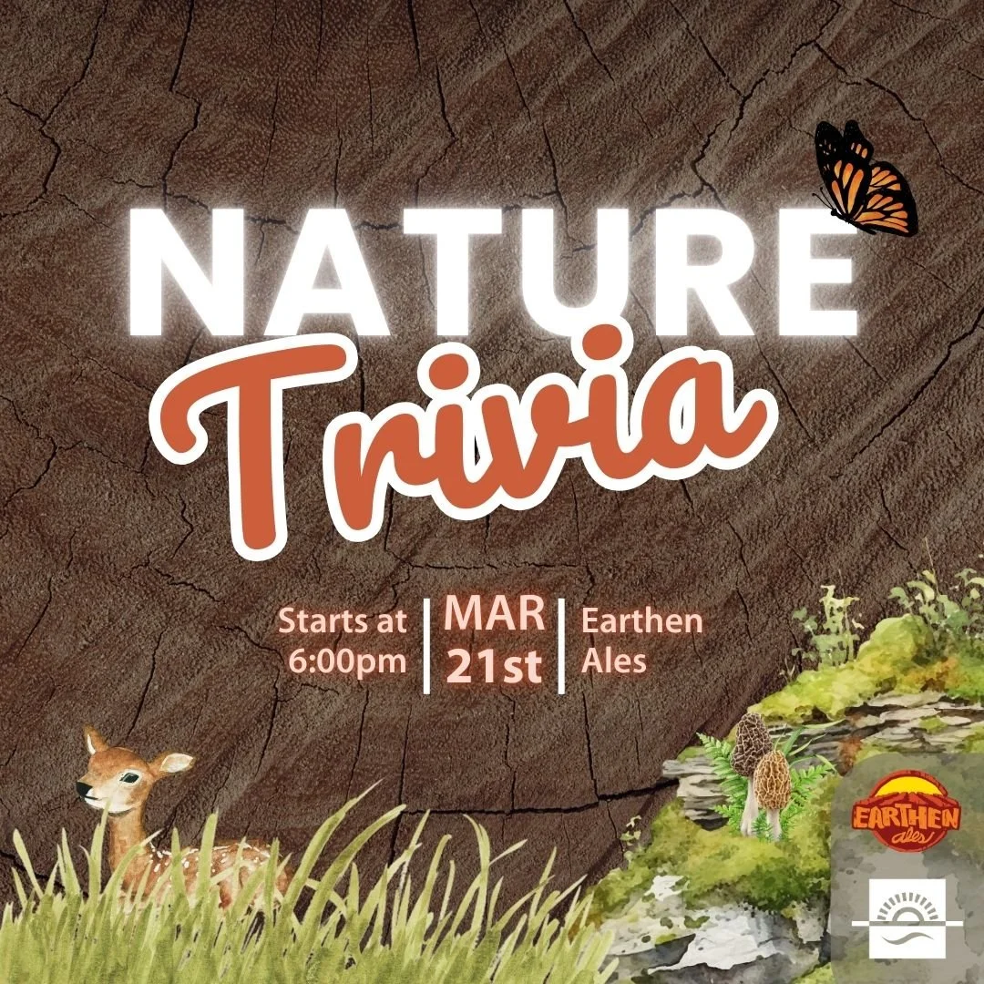 Spring Nature Trivia 