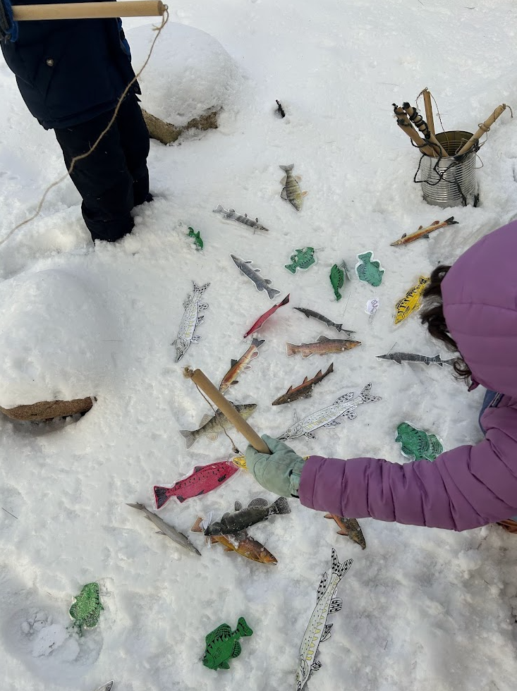 Screenshot 2026-01-12 151633.png