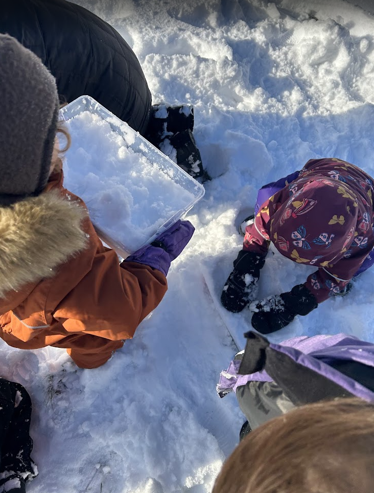 Screenshot 2026-01-12 151716.png