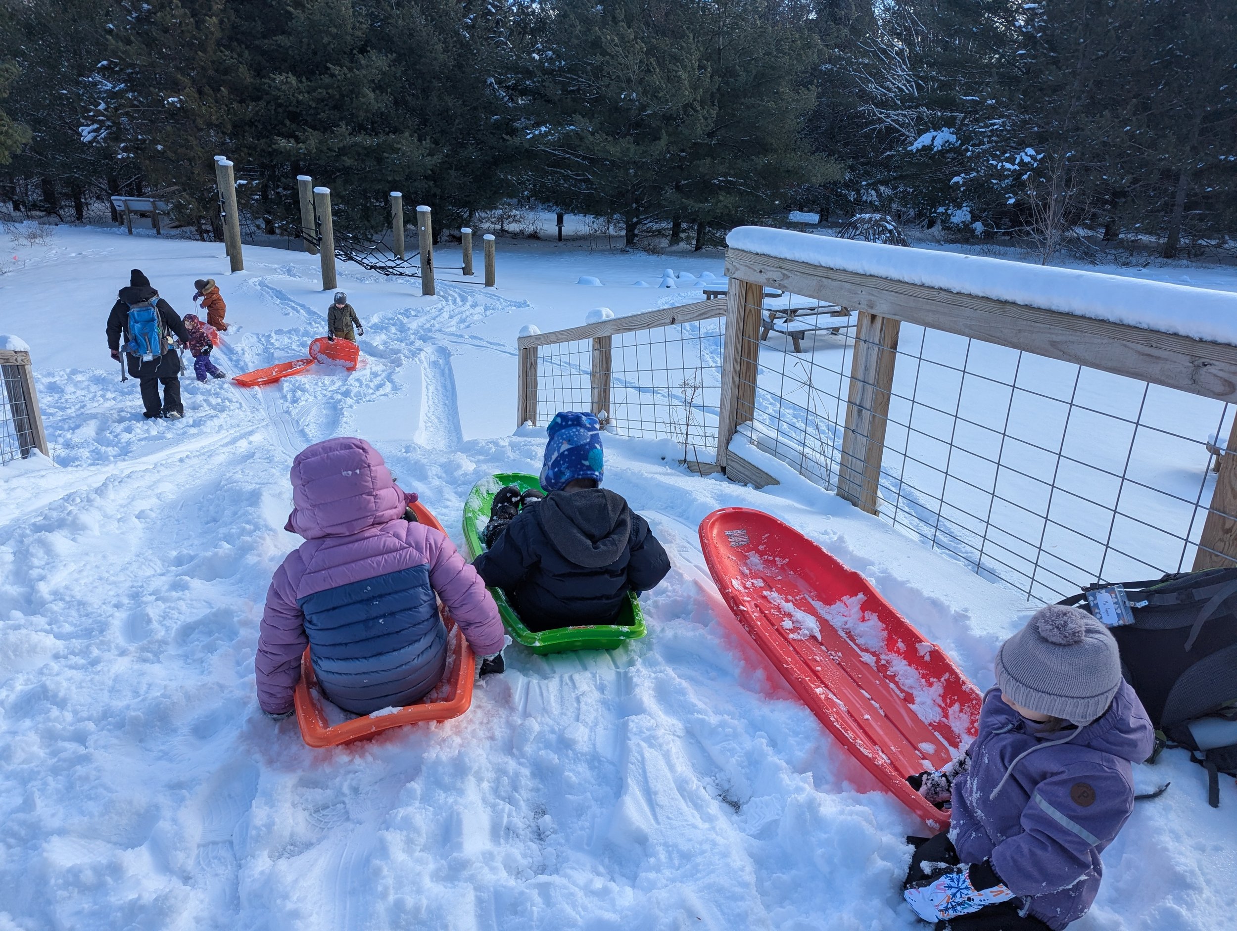 Winter 2026 Knee High Naturalists | Week 1