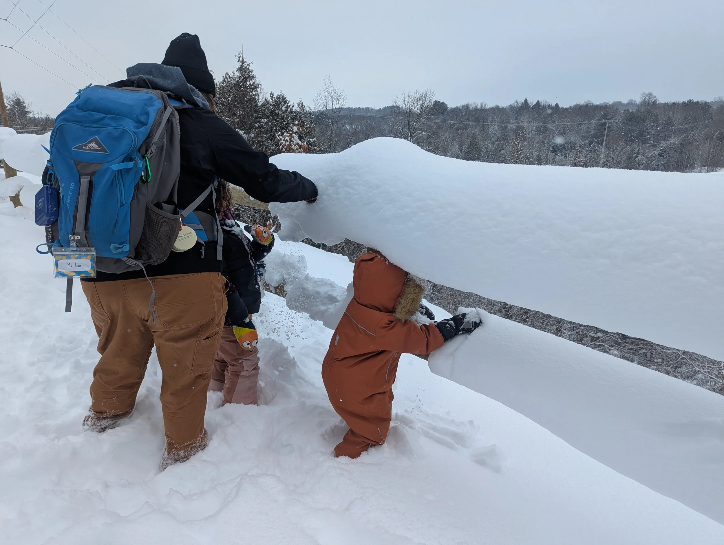 Winter 2026 Knee High Naturalists | Week 4