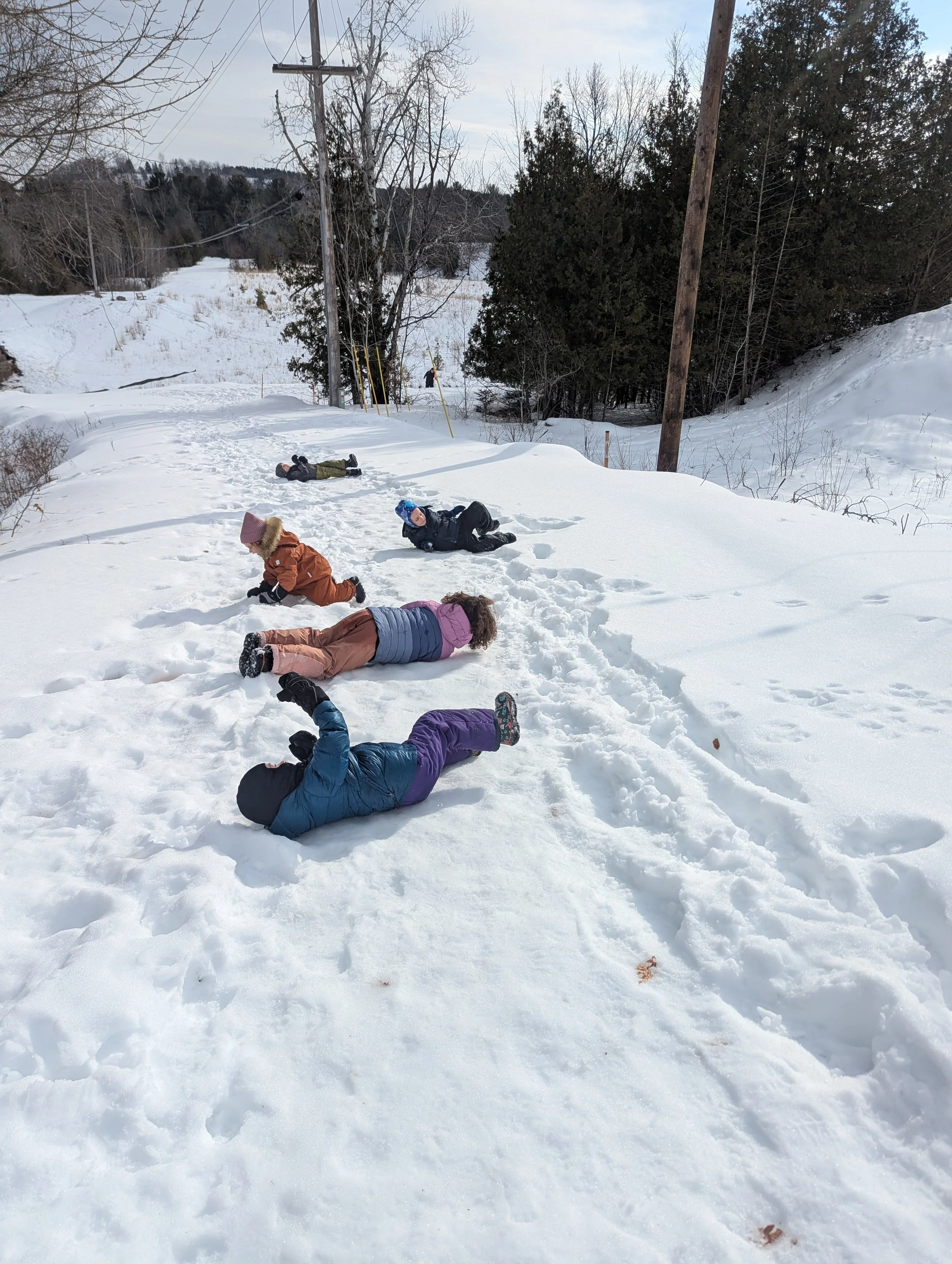 Winter 2025 Knee High Naturalists | Week 6