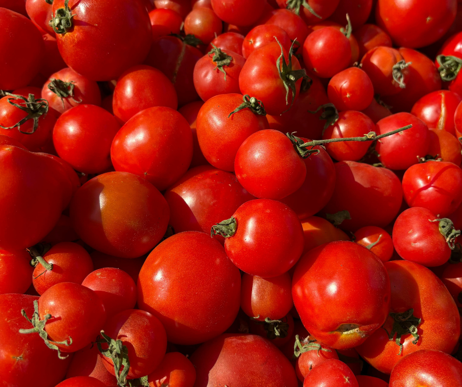 Tomato Preservation Class with MSU Extension