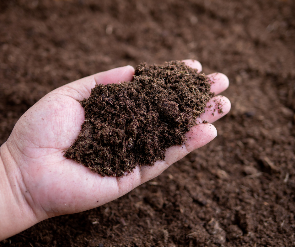 Compost and Biochar as Soil Health Tools - GLIF Growing Together Series
