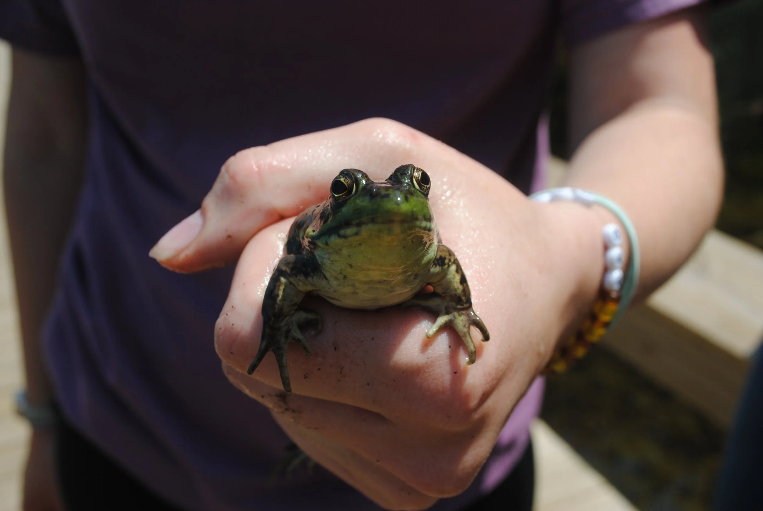 Summer Kick Off at GTCD