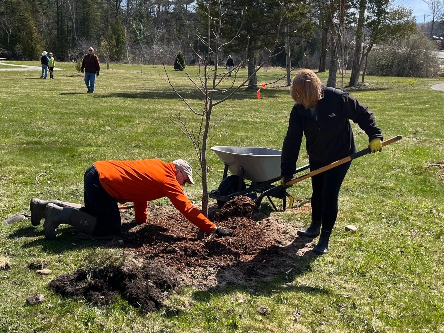 DTE Hickory Meadows Arbor Day Planting Work Bee