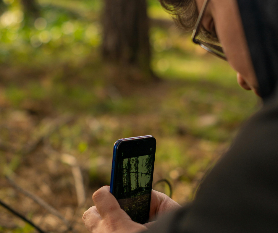 BioBlitz at the Natural Education Reserve