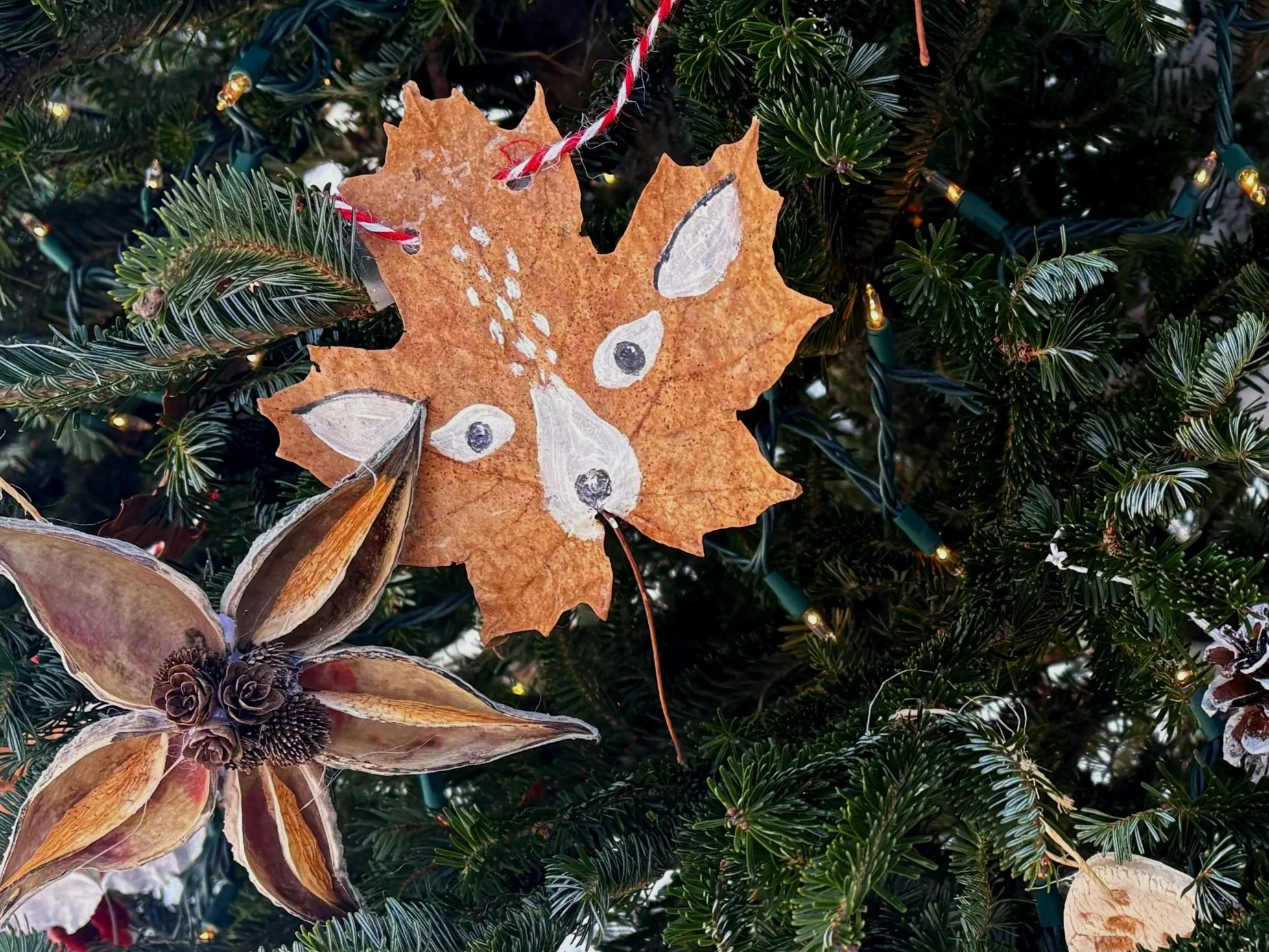 Natural Ornament Workshop