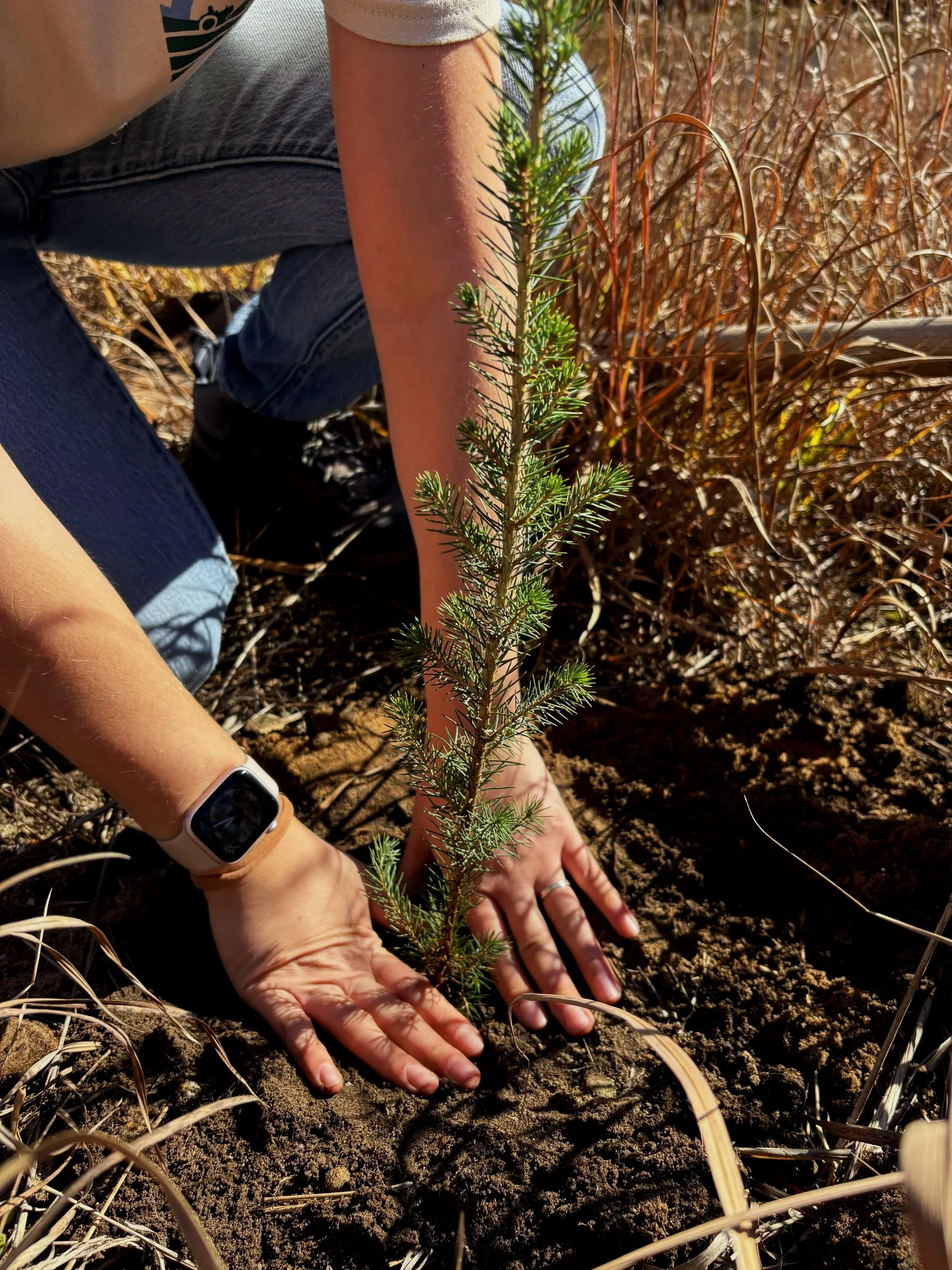 Earth Day Tree Planting Workbee at the NER