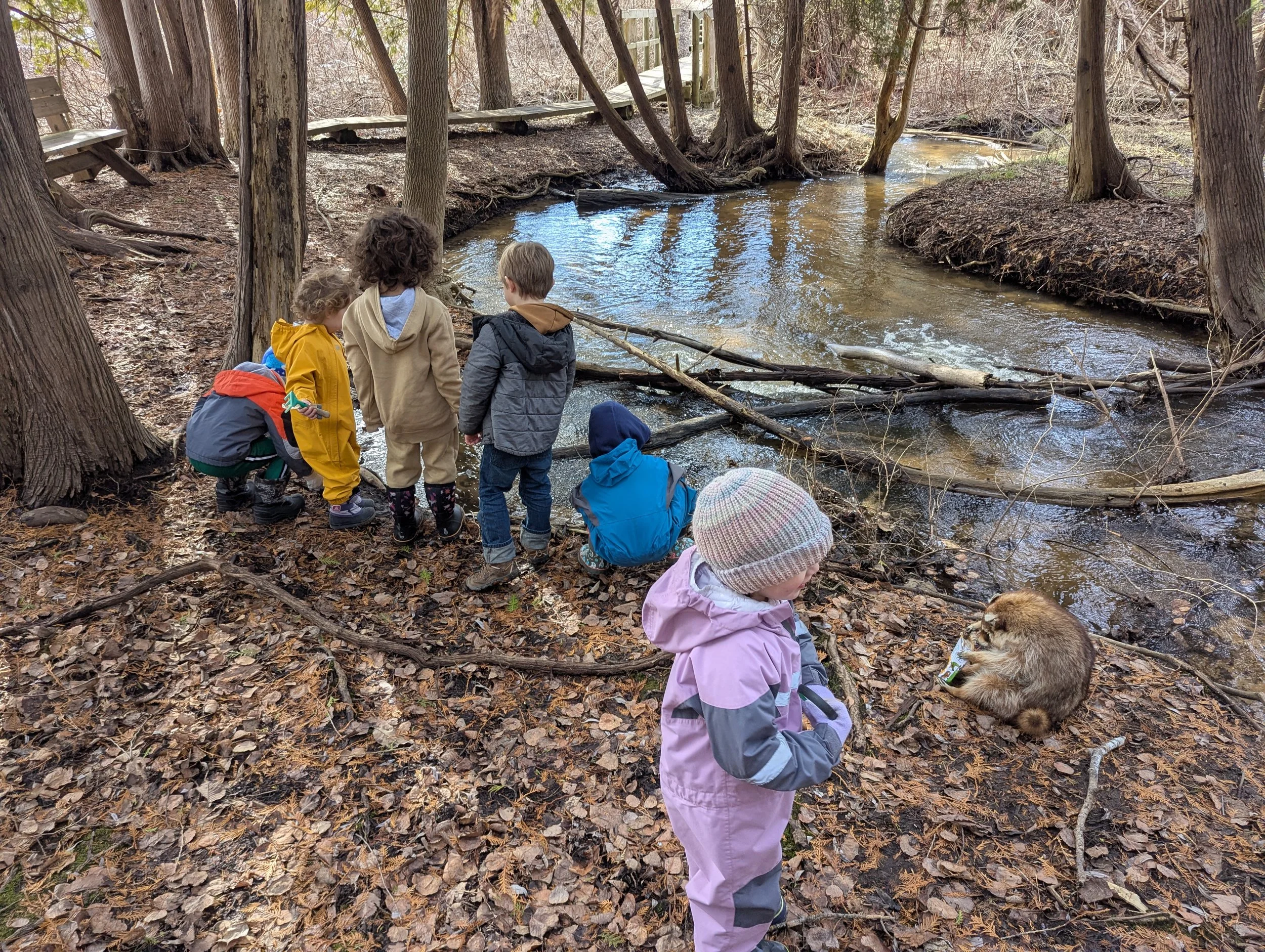 Winter 2026 Knee High Naturalists | Week 9