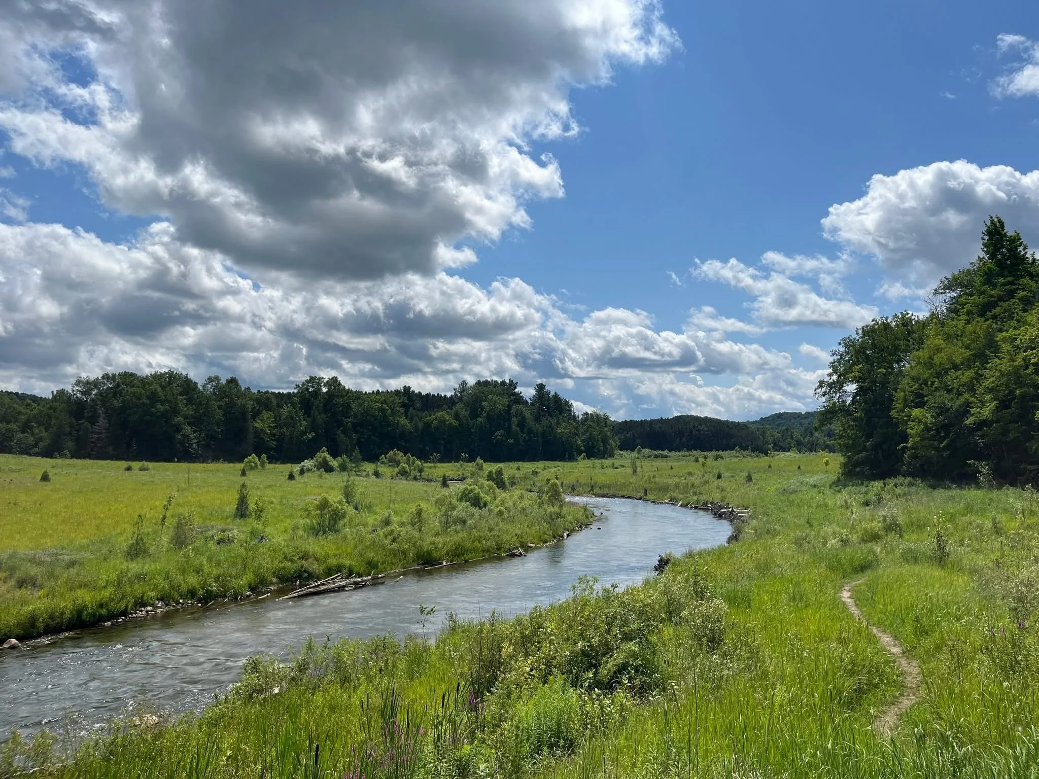 Year of the River Speaker Series - May