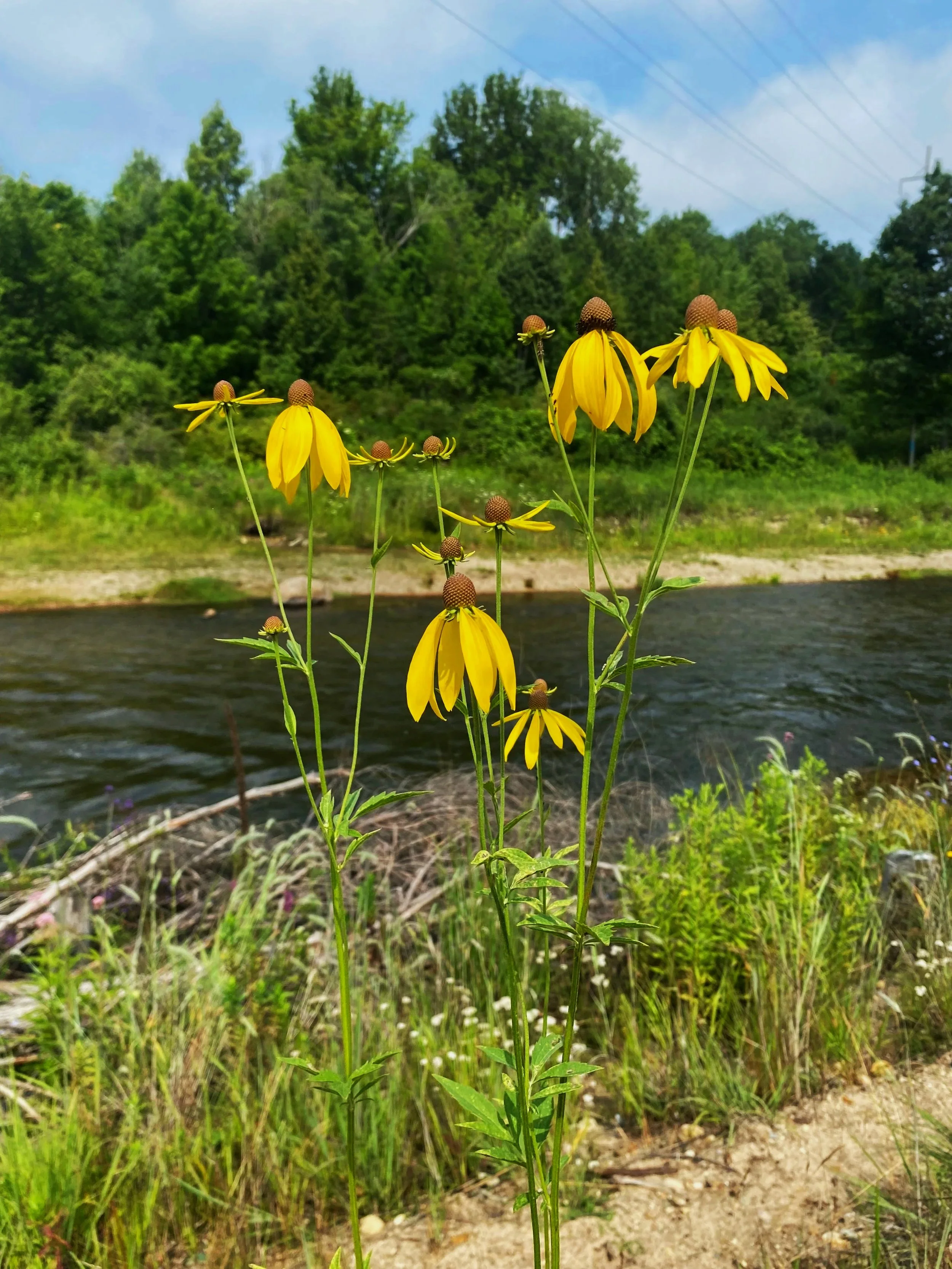 Year of the River Speaker Series - June