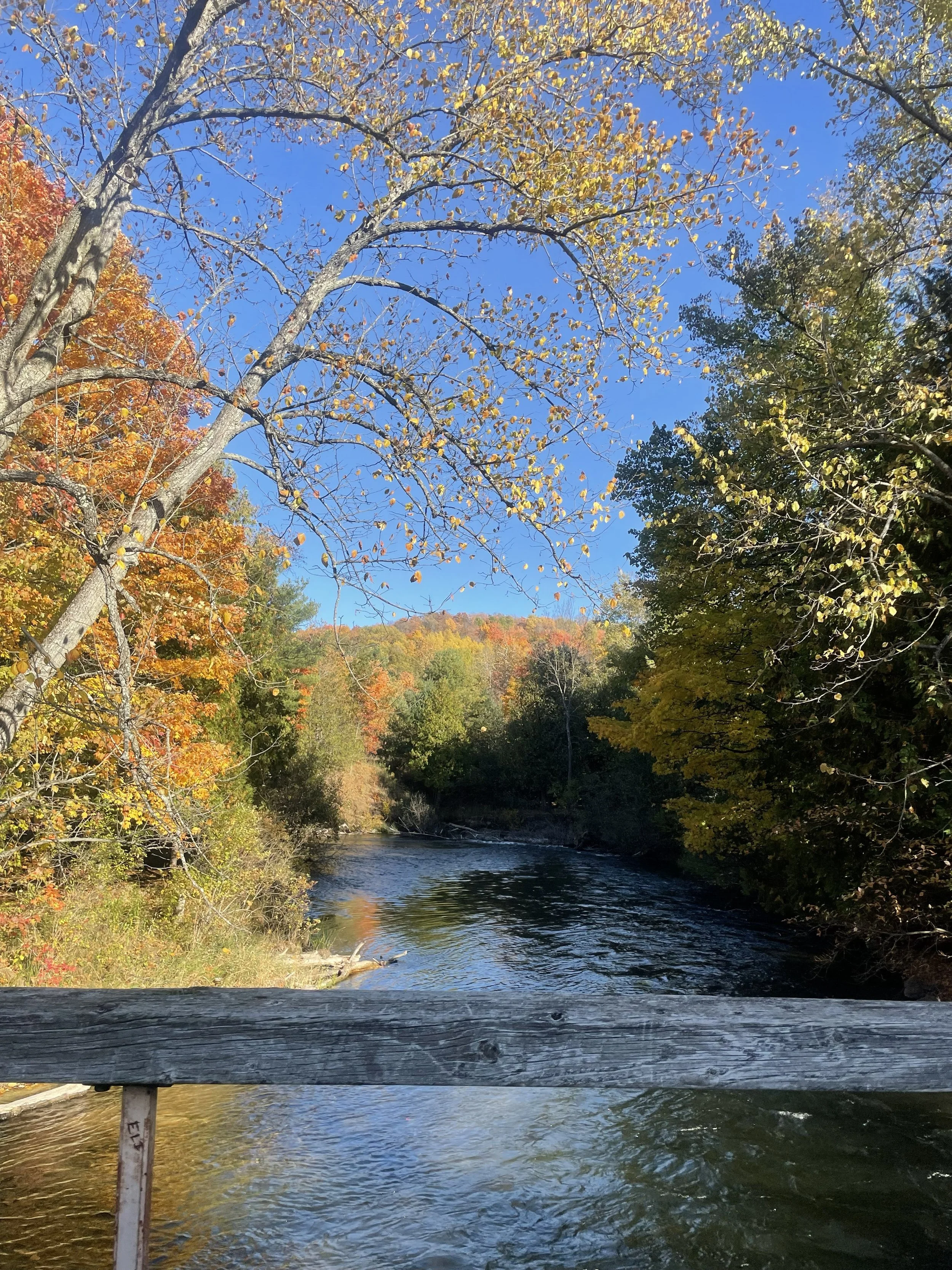 Year of the River Speaker Series - November