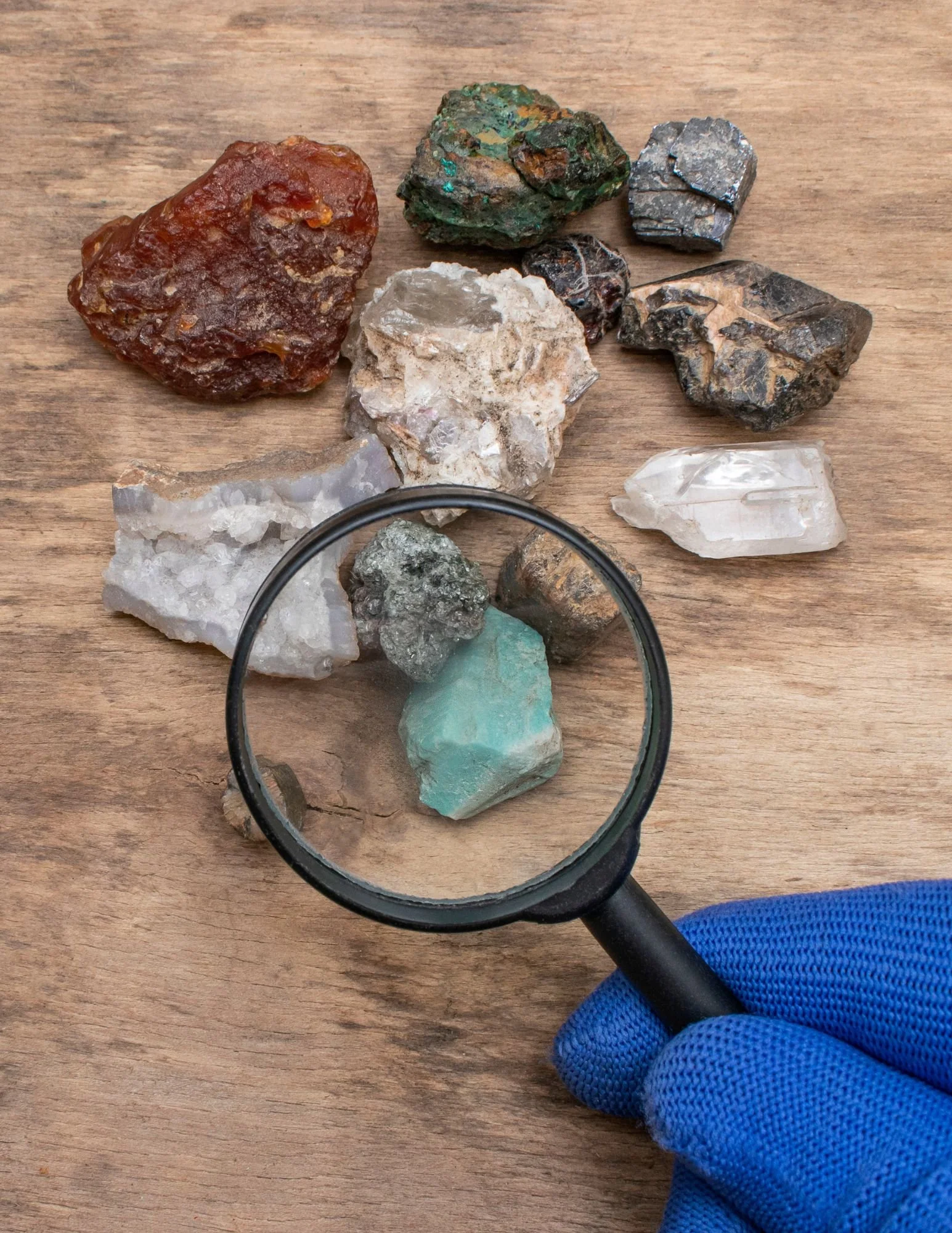 Earth Science Week &amp; National Fossil Day Celebration