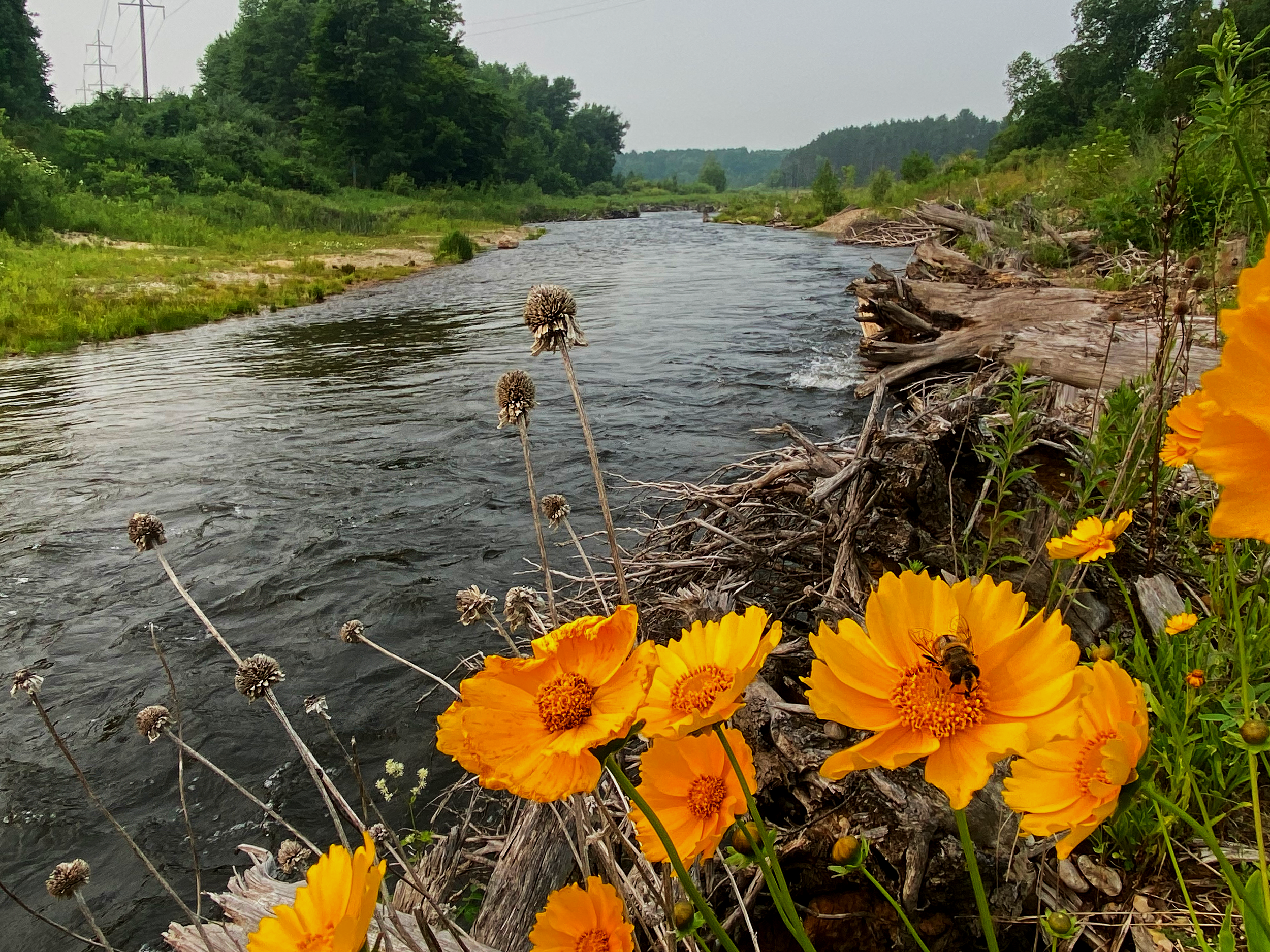 Family River Day - August