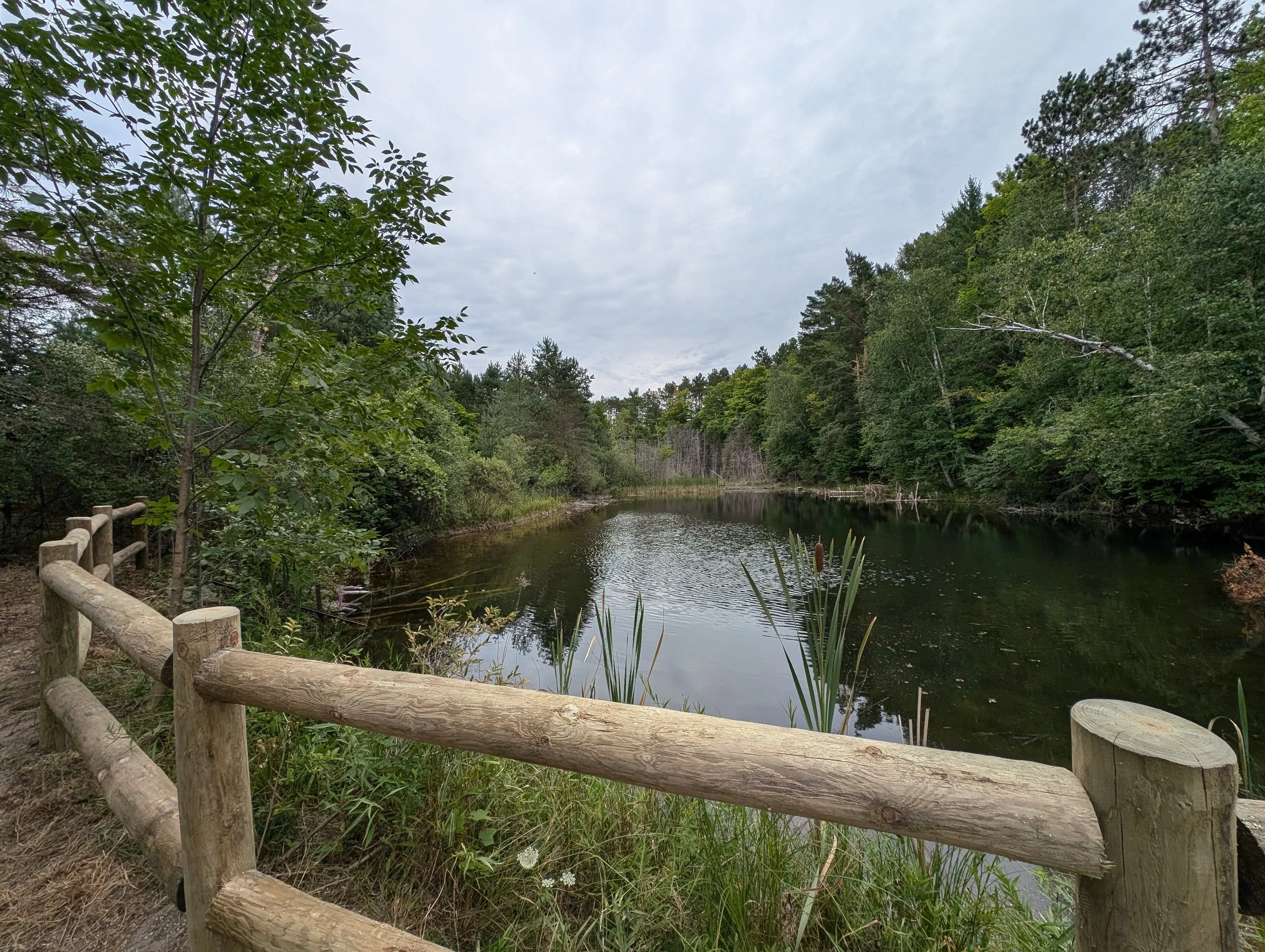 glif_pond_summer.jpg