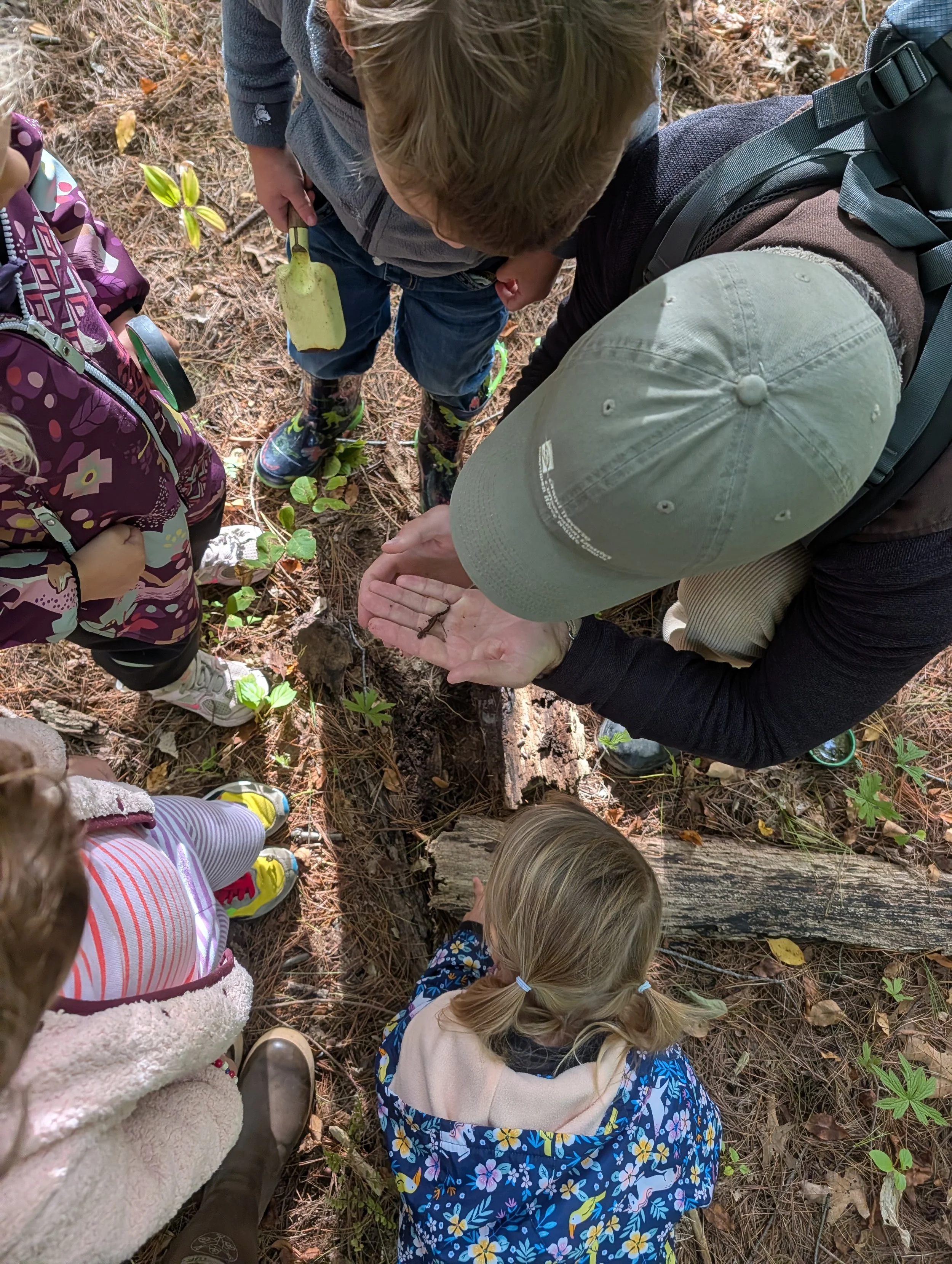 Fall 2026 Knee High Naturalists | Monday, Week 1