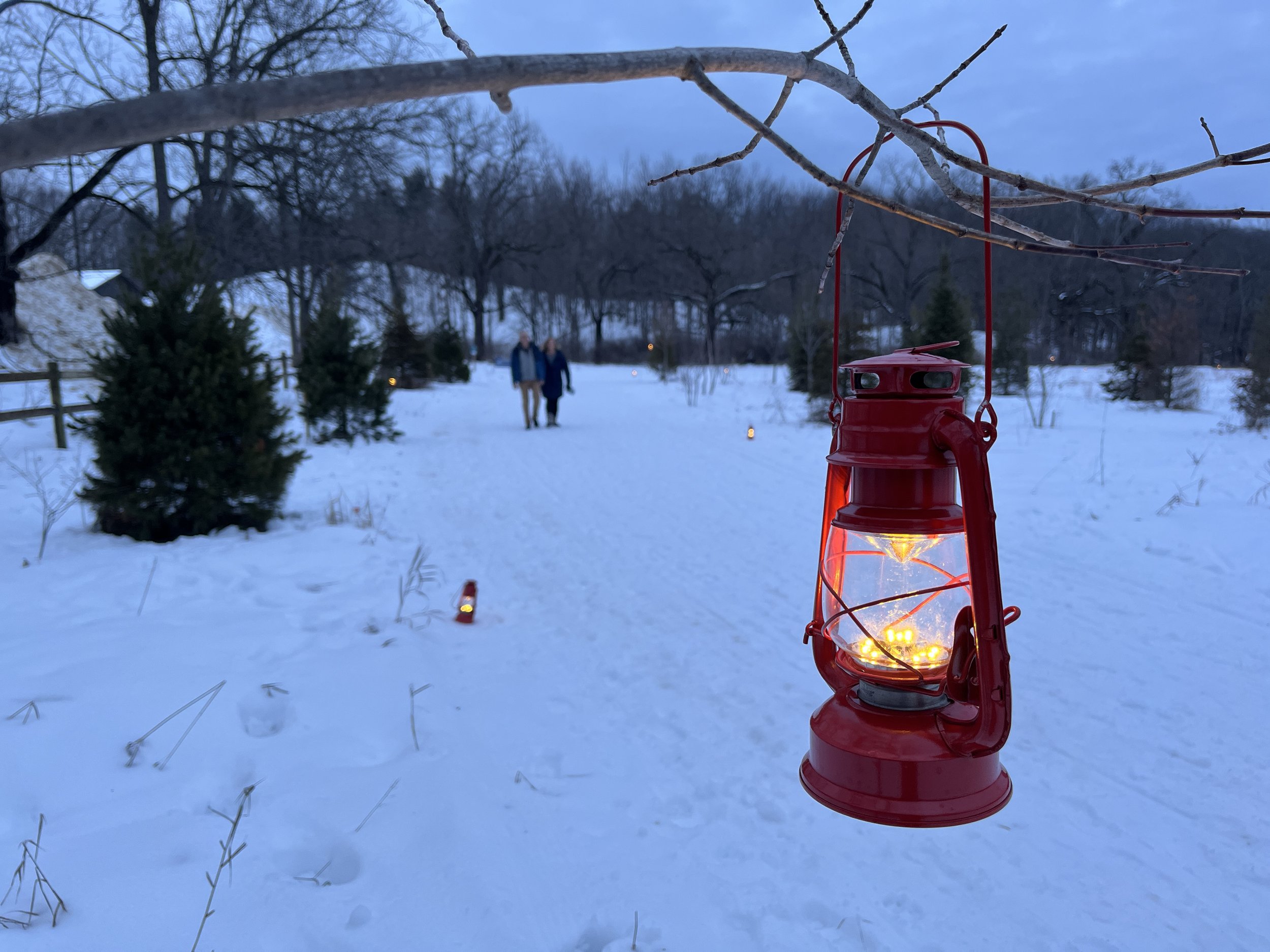 Lantern-Lit Hike