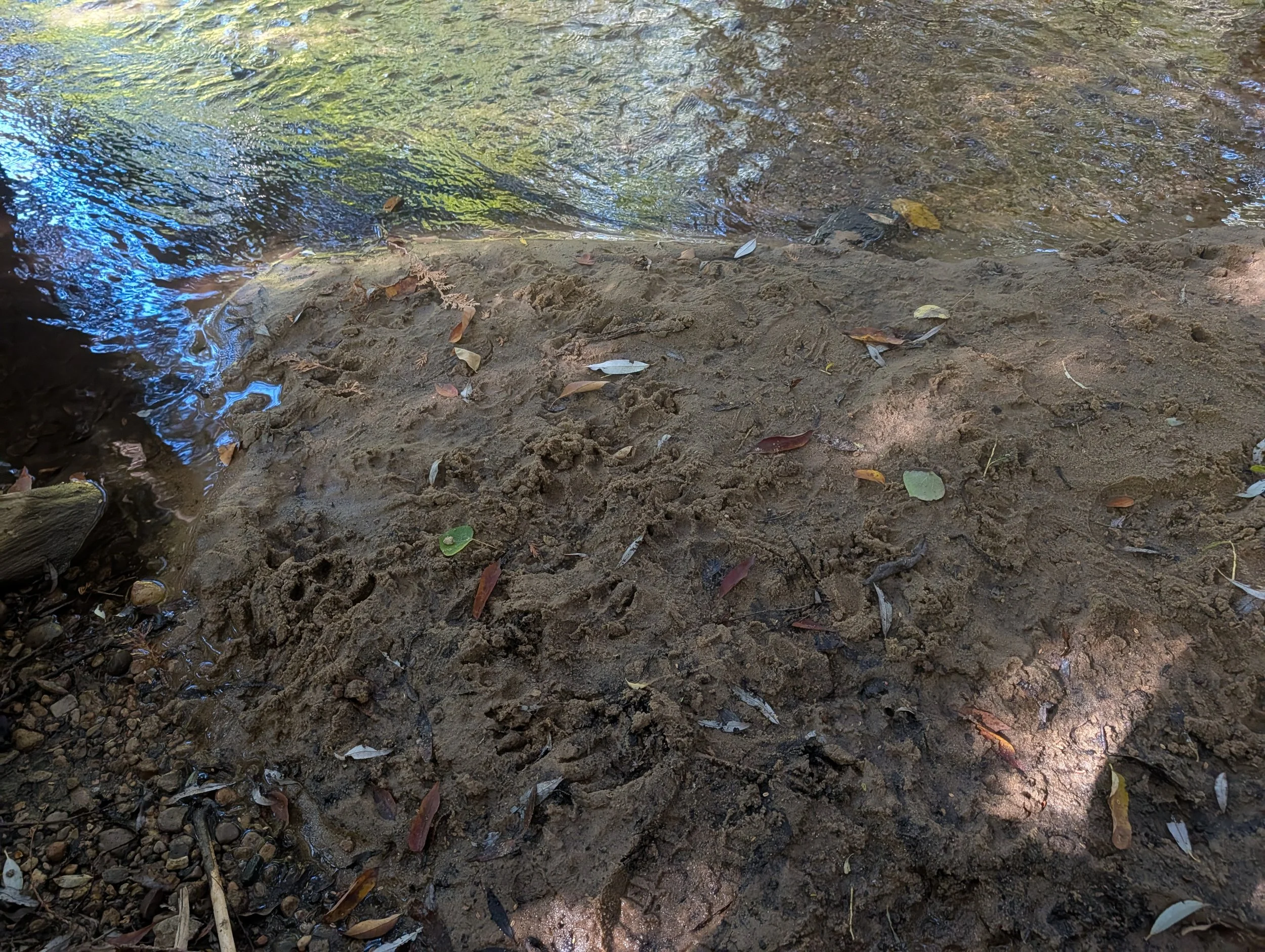 PXL_20260928_153510848.jpg