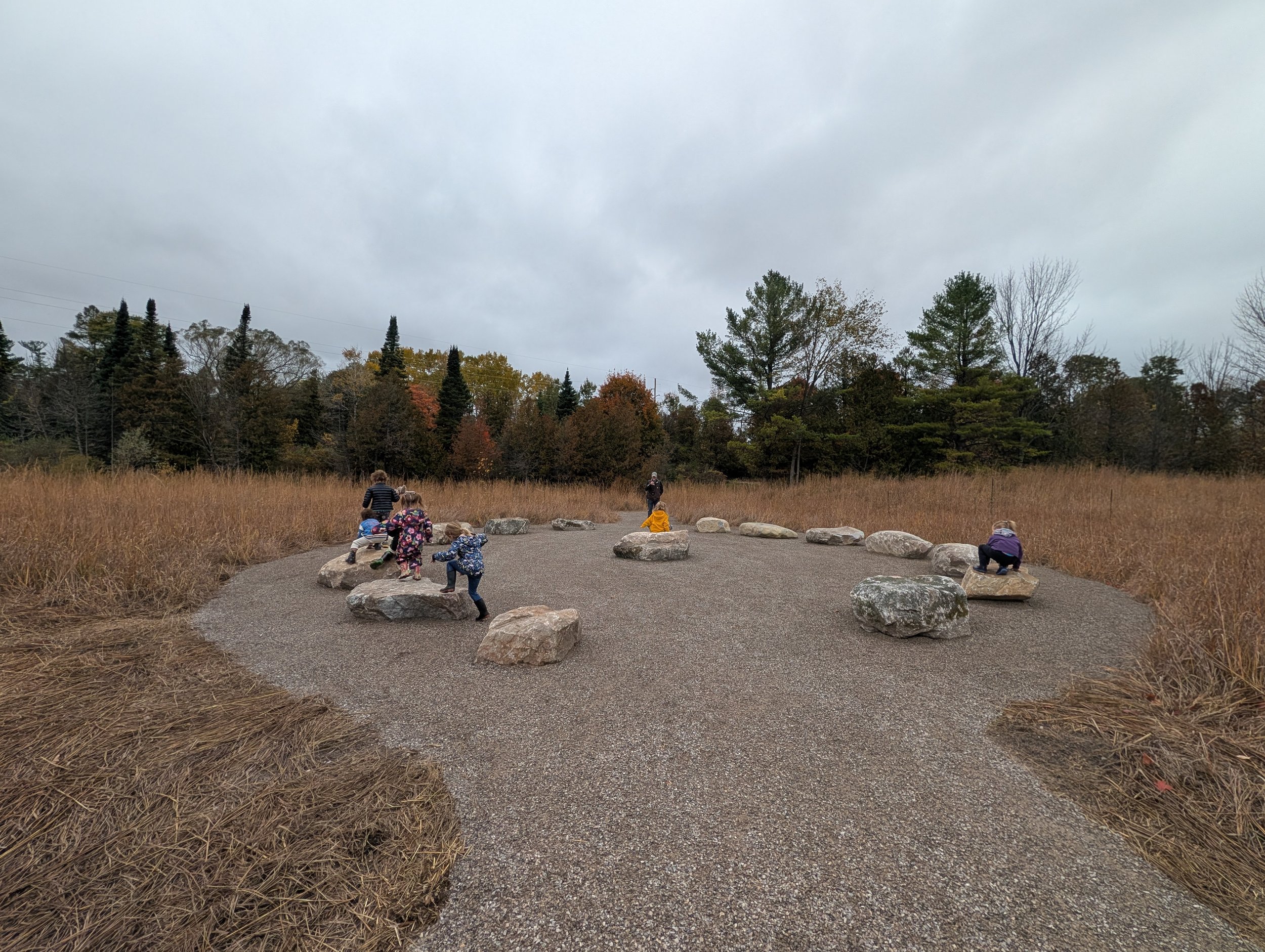 PXL_20261014_151405207.jpg