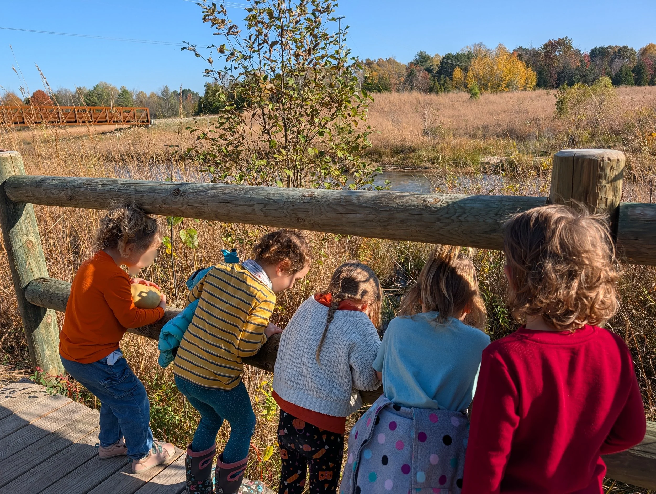 Fall2026 Knee High Naturalists | Wednesday, Week 4