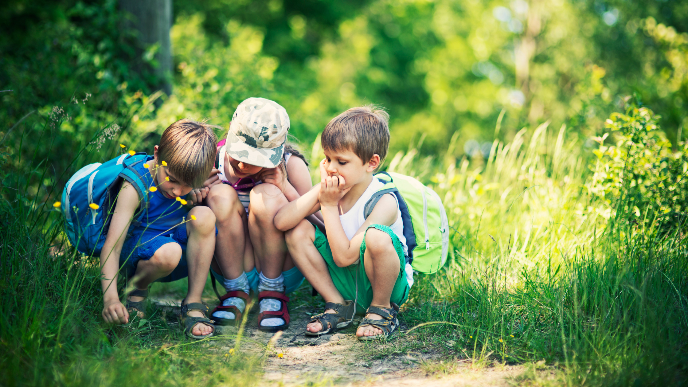 NDC 2024 Email Header Photos (6).png