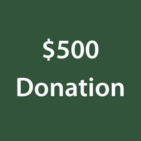 $500.png