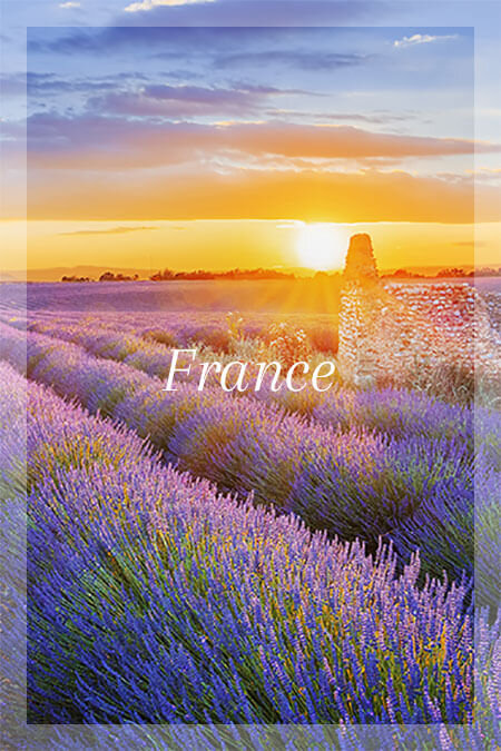France (Copy)