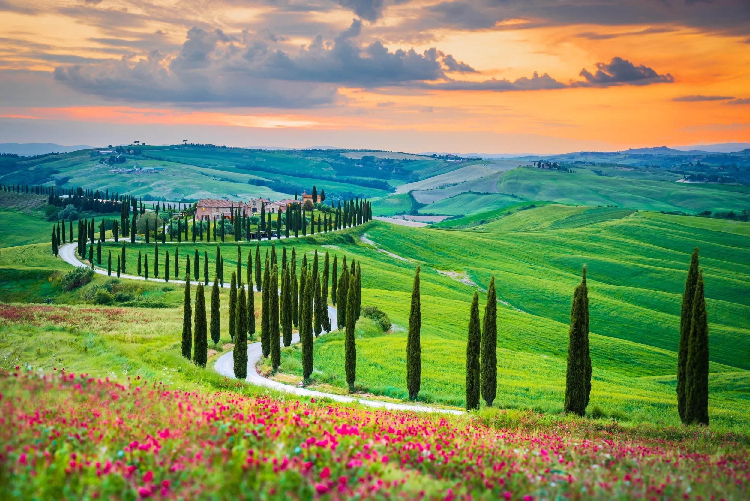 Tuscany AE.jpg