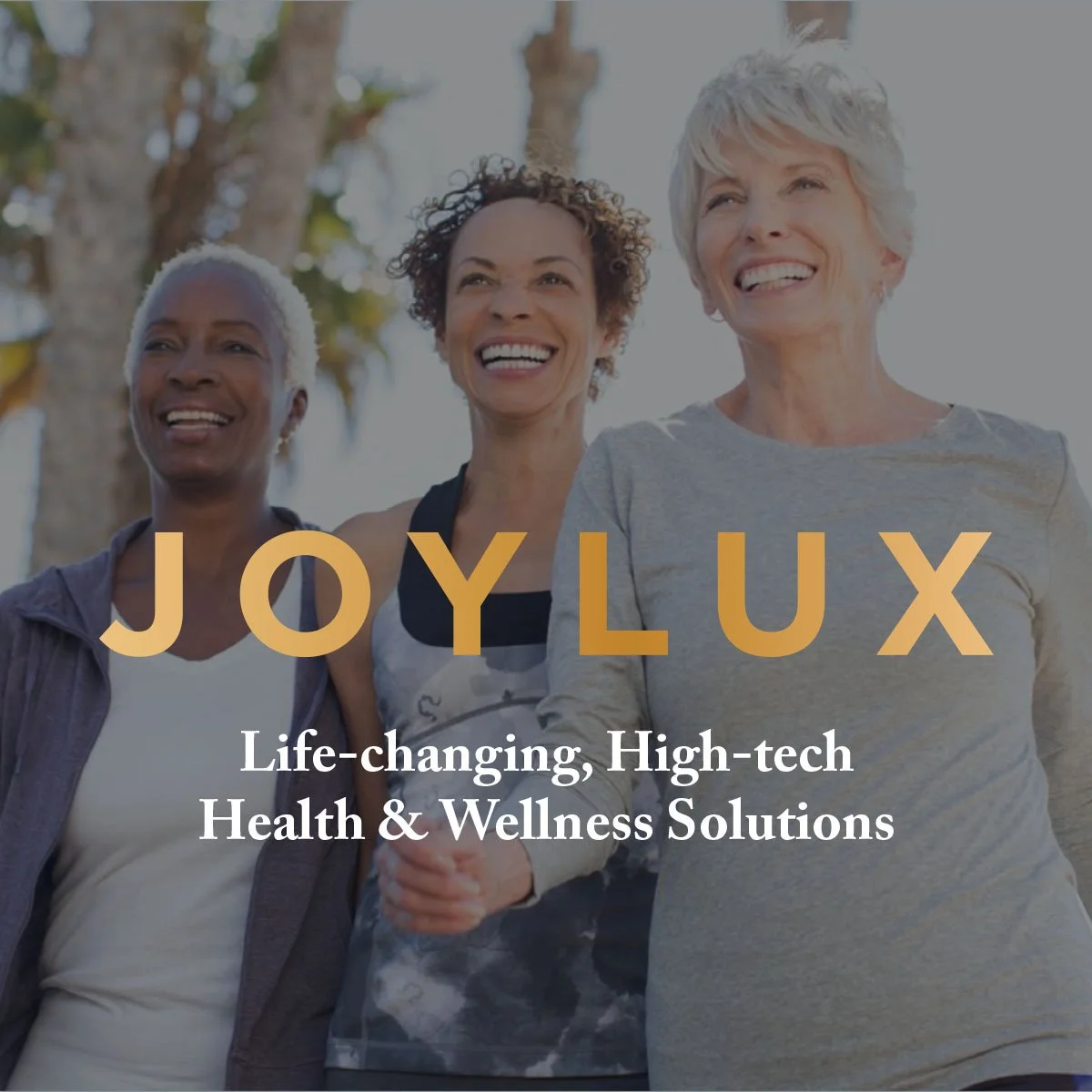 vFit Gold PLUS Presentation