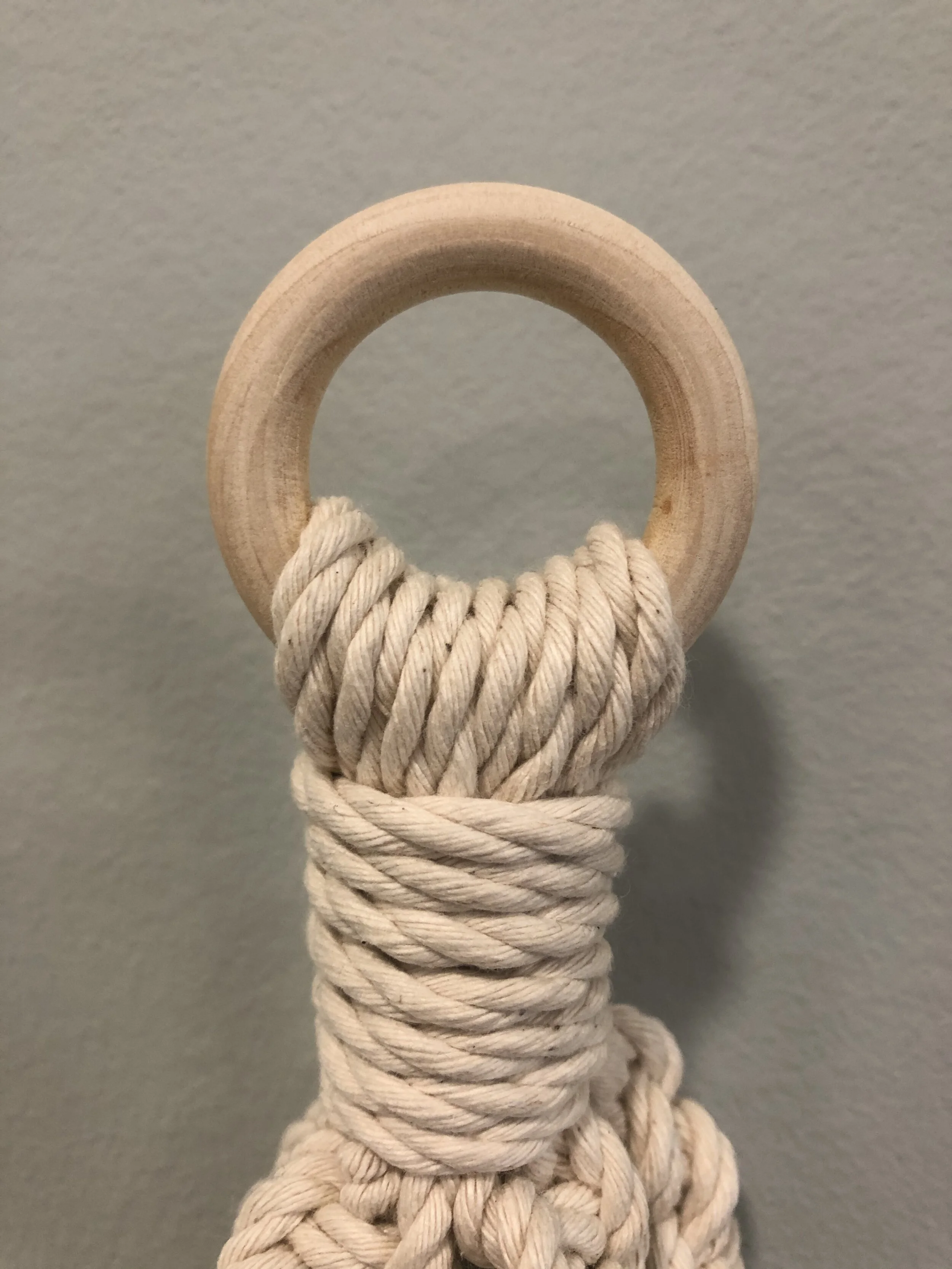 Wood Plant Hanger Ring - Fun With Fibers