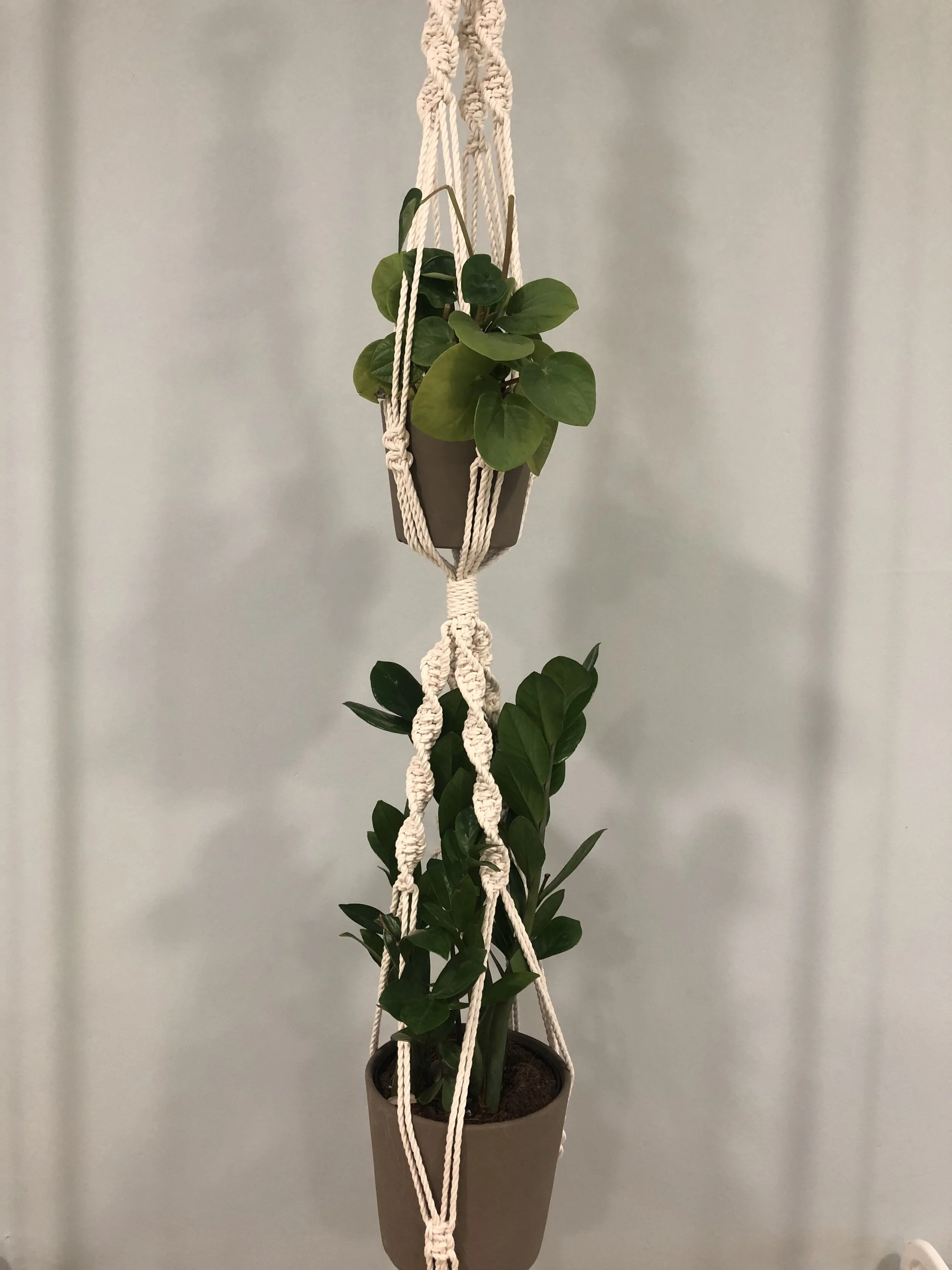 Jade Plant Hanger - Fun With Fibers