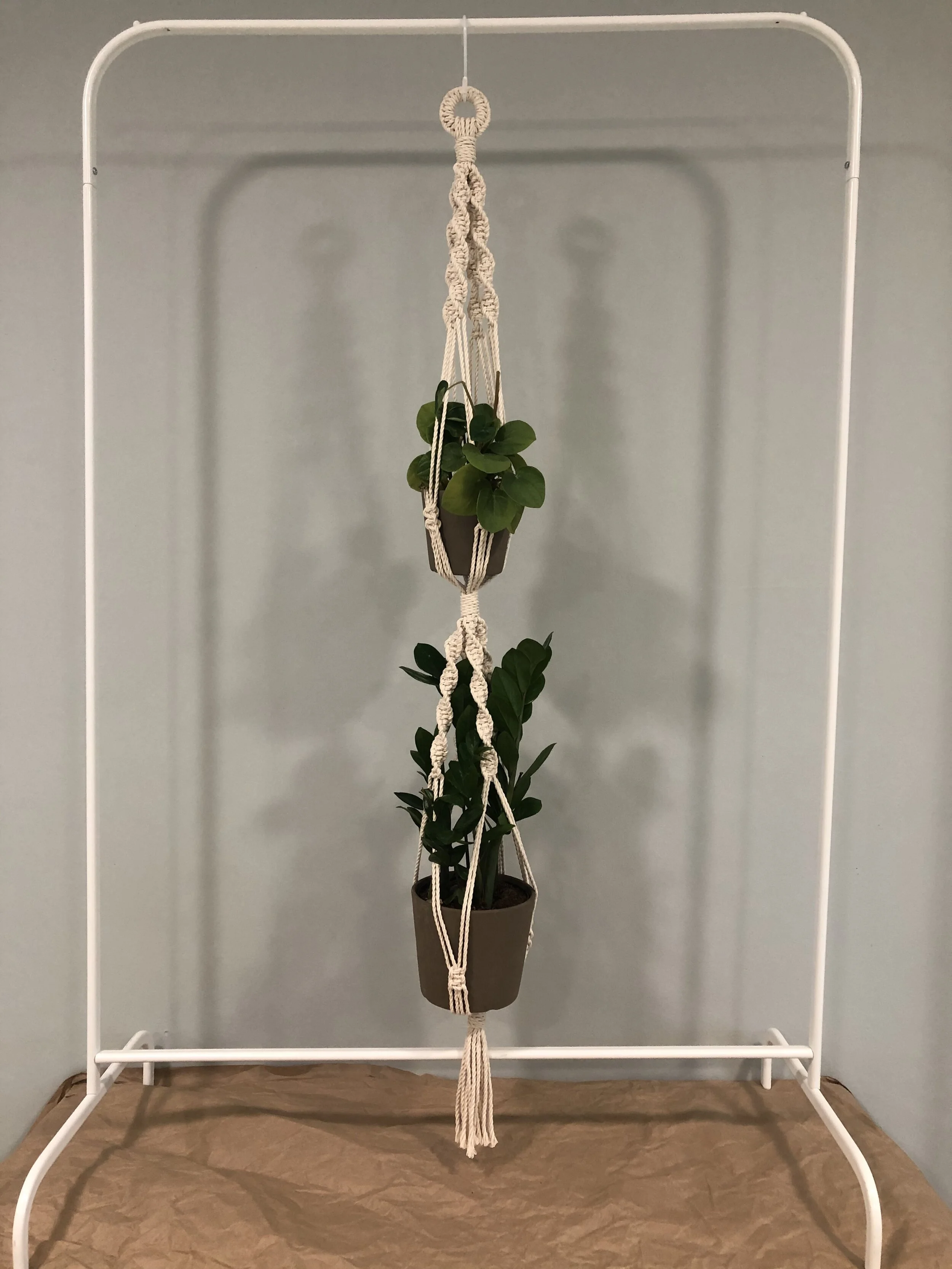 Jade Plant Hanger - Fun With Fibers