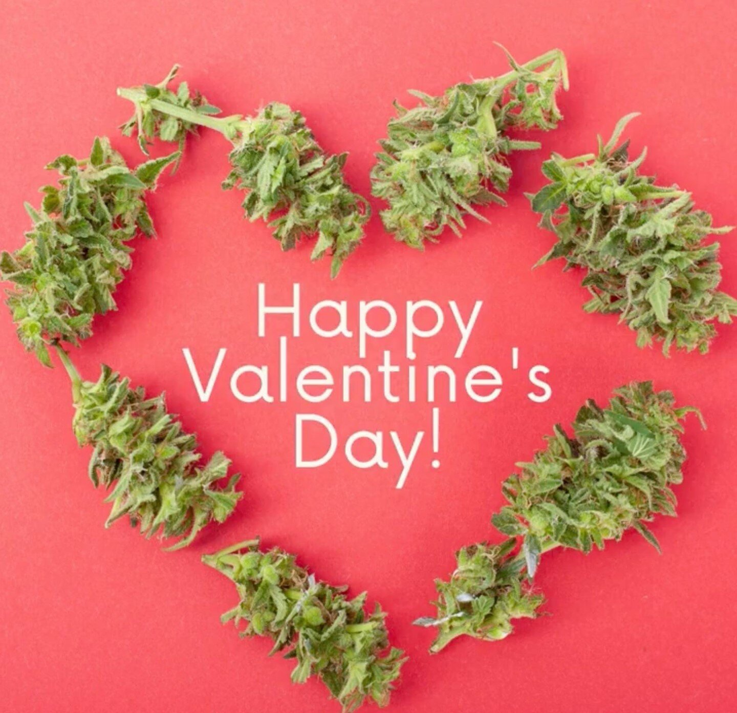 Happy Valentine's Day! Whether you're celebrating alone or with a partner, we hope you take some time to love up on yourself! Self love is indeed your first love. 💚 Oh, and smoke a bowl and journal about it too.

*Nothing for sale.* 

#gohigher #goh