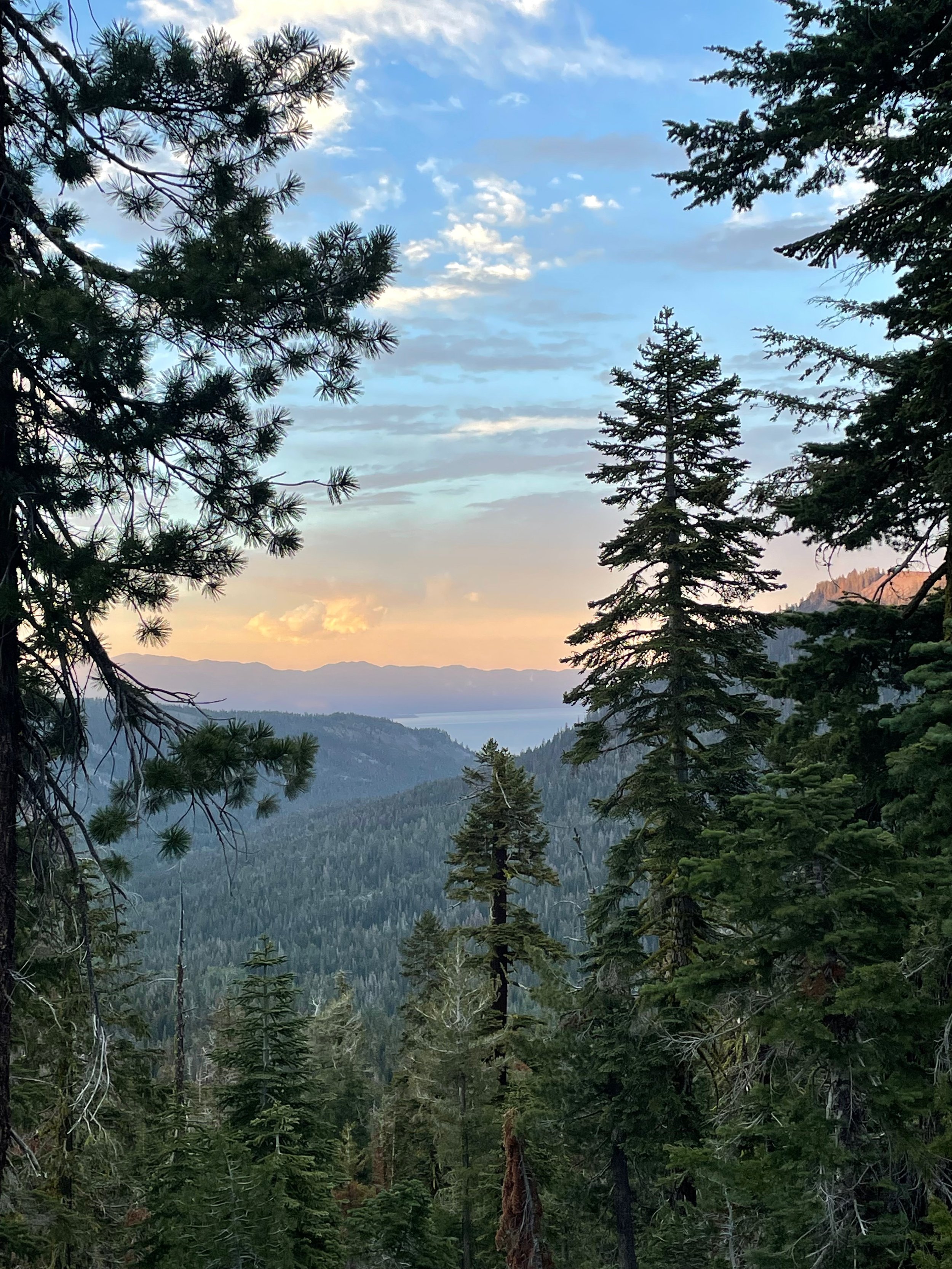 Tahoe Rim Trail 2022