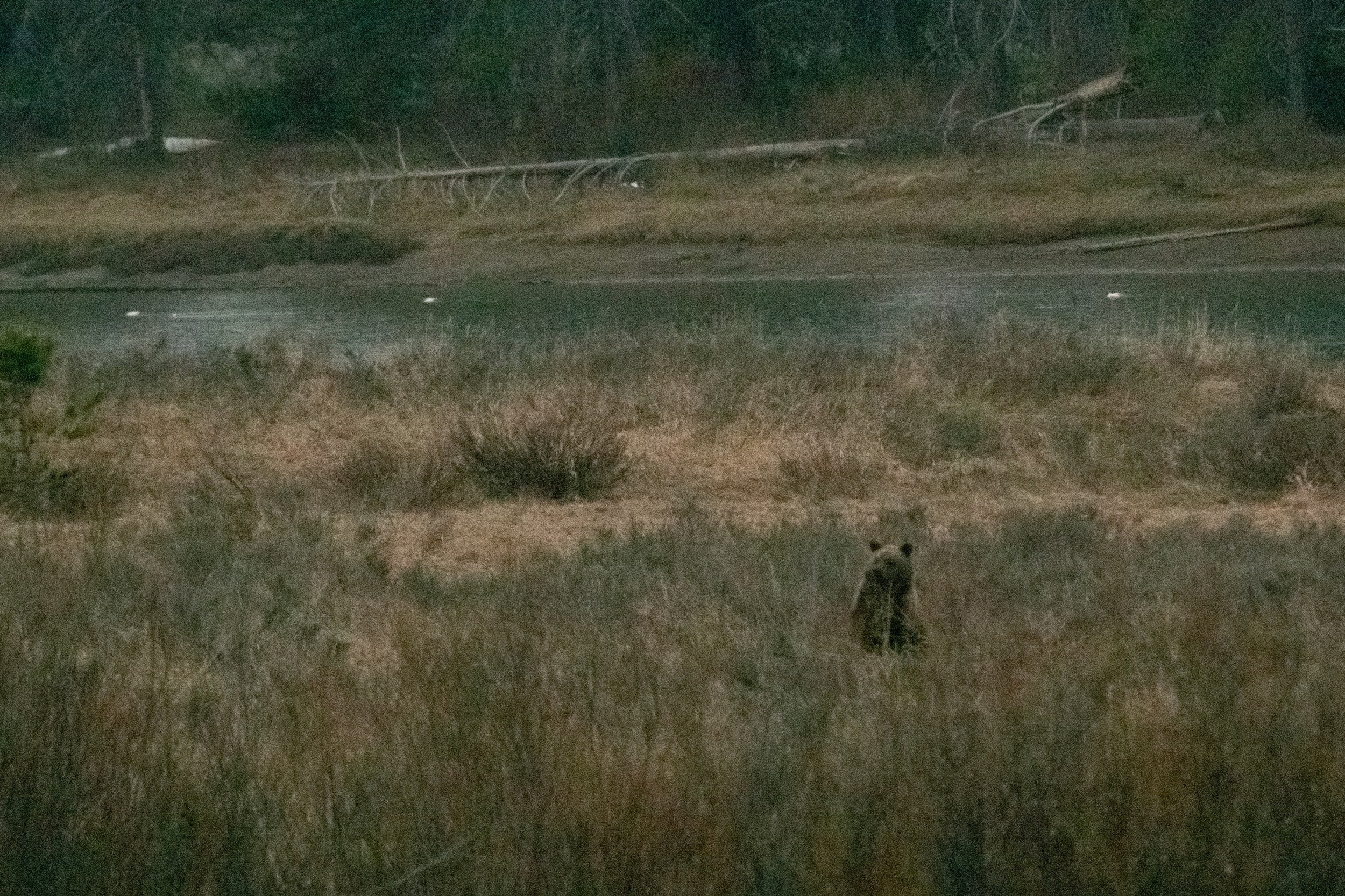 DSC_3649.jpeg