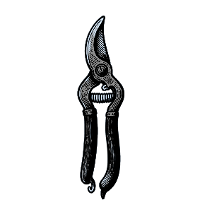 icon_pruner4.png